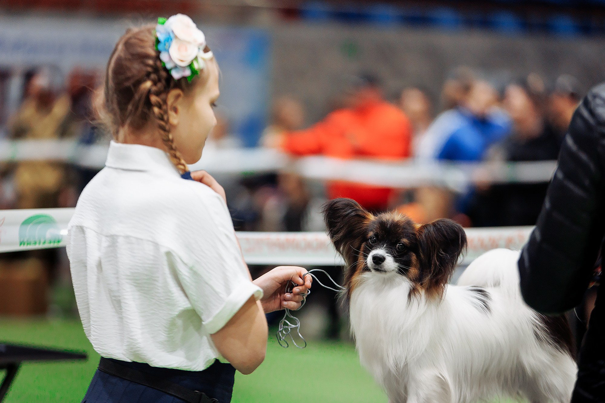 Магний 23. О нас