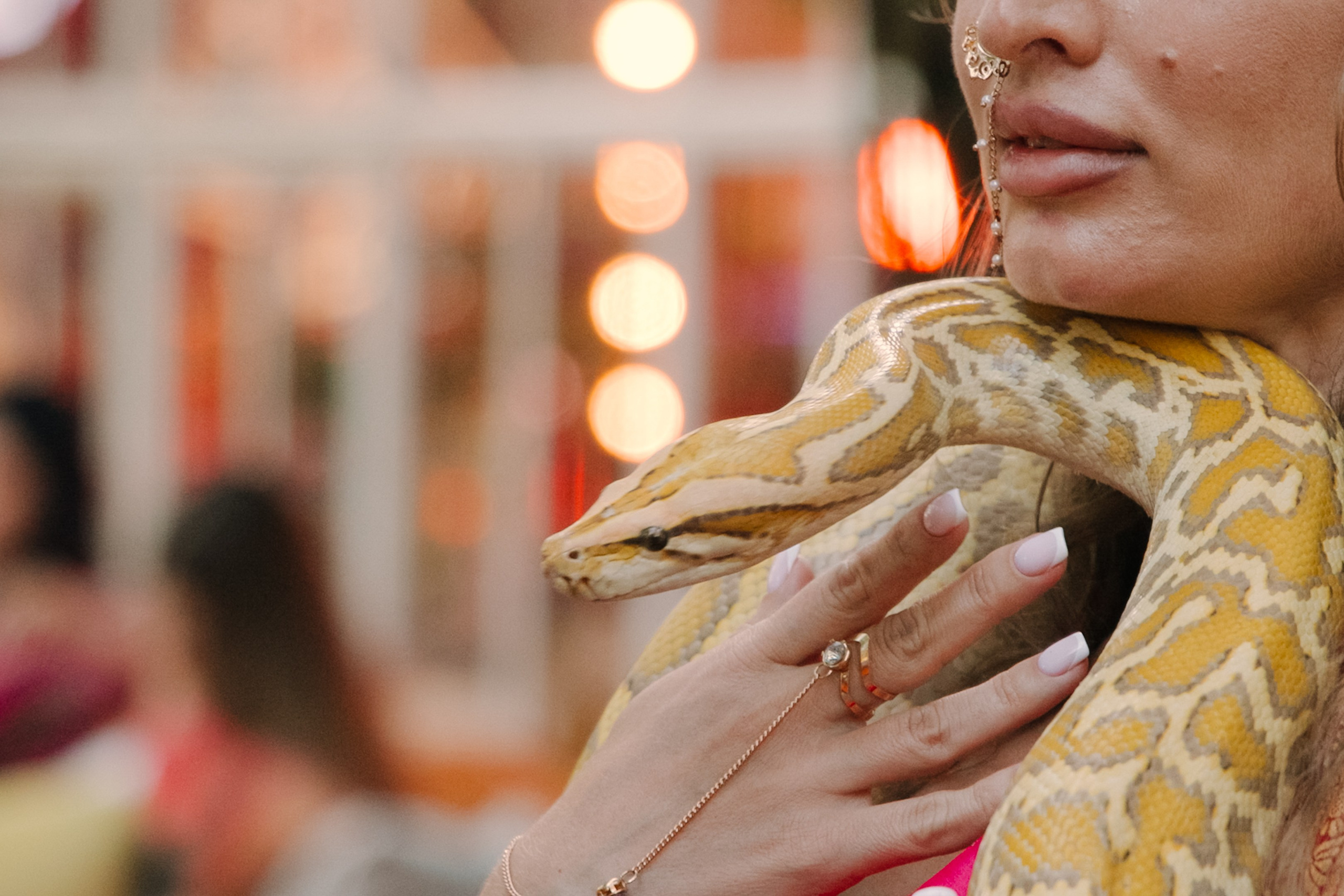 Индийская свадьба. Свадебный фотограф и видеограф в Москве, Виктор Архилюк