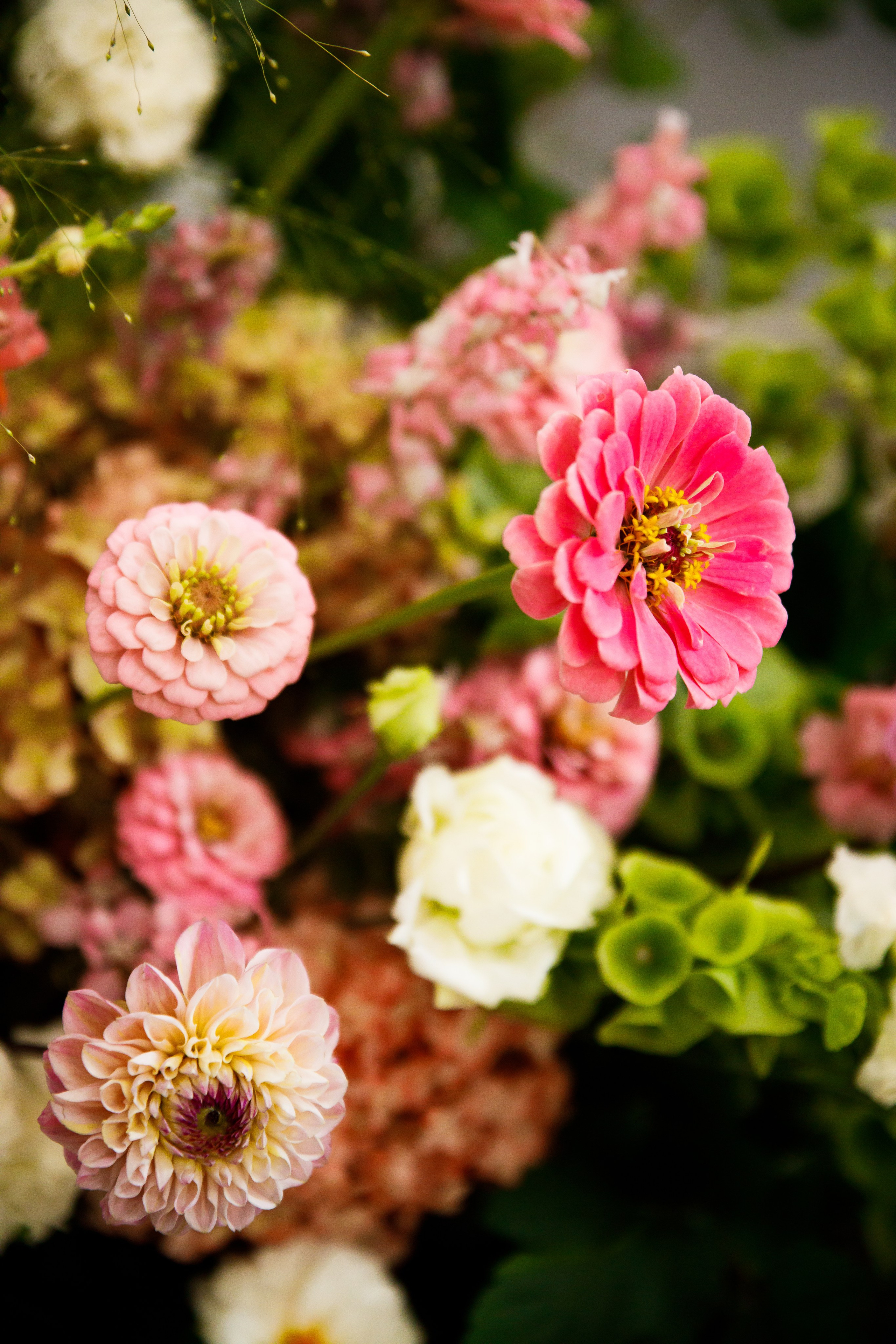 Ангелина и Никита. Фотограф в Полоцке Новополоцк Минск
