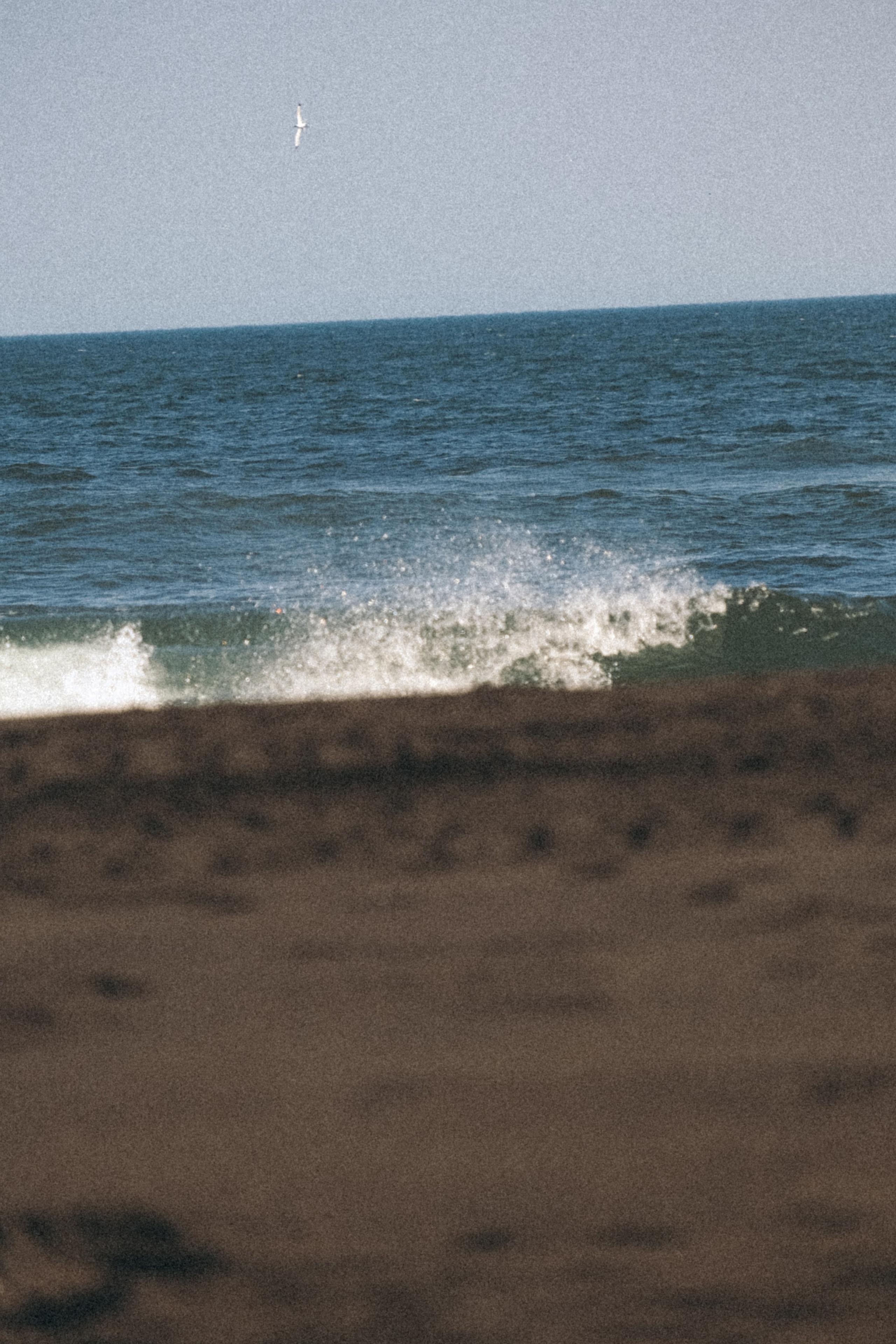 Тихий океан. Профессиональный фотограф, Санкт-Петербург — Виктория Богомолова