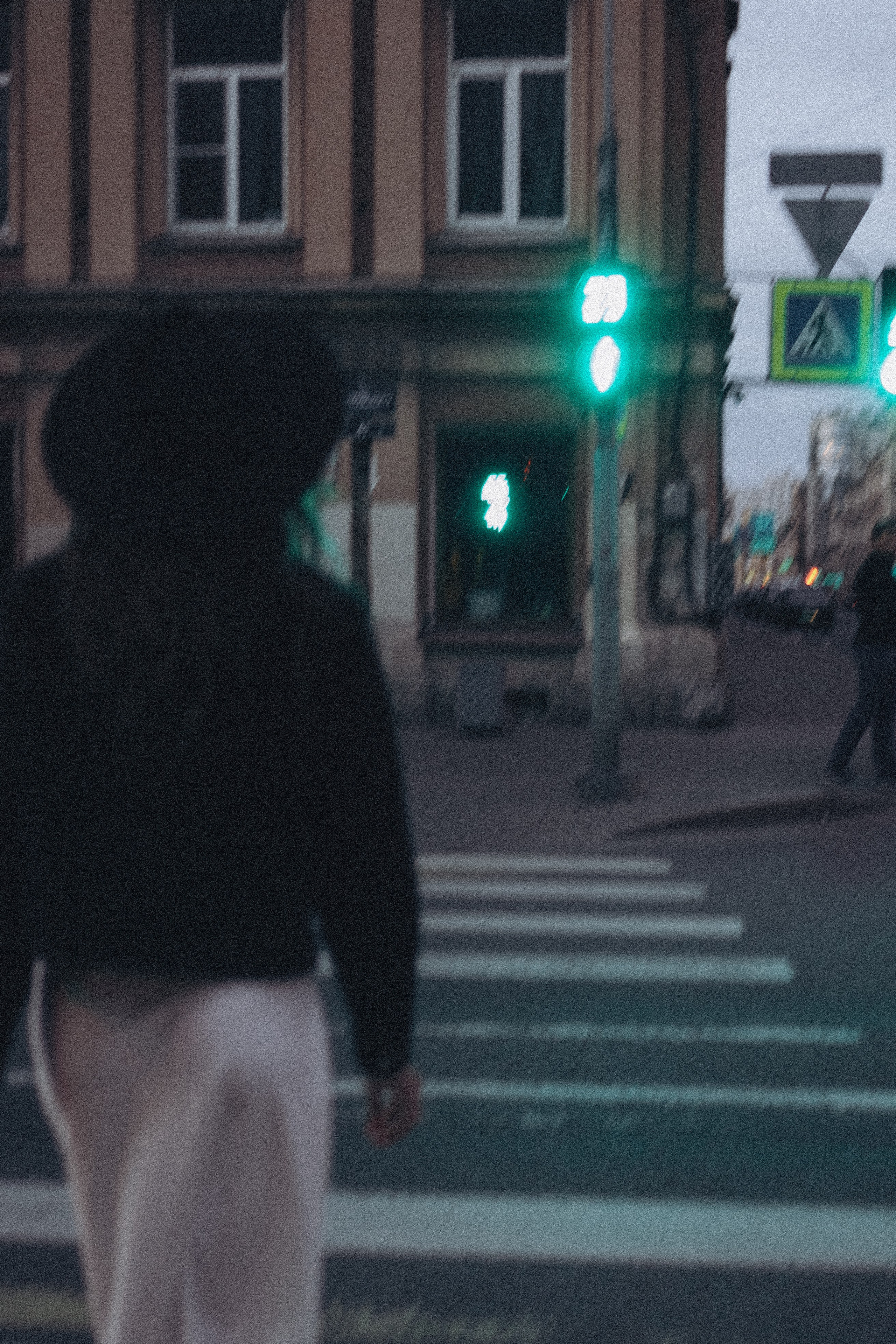 ПРОГУЛКА ПО НОЧНОМУ ГОРОДУ. Профессиональный фотограф, Санкт-Петербург — Виктория Богомолова