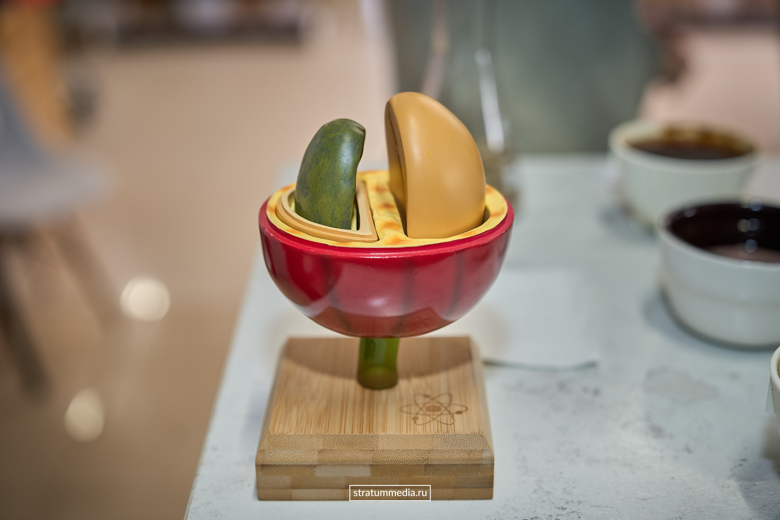 Блог. Stratum Media — Фото-Видео Съемки