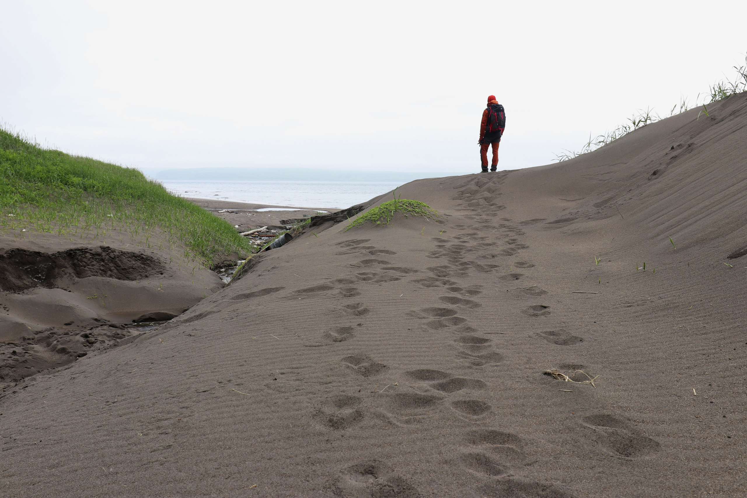Камчатка и о. Парамушир. Июль 2024. Путешественник-фотограф из Санкт-Петербурга Татьяна Свистулина