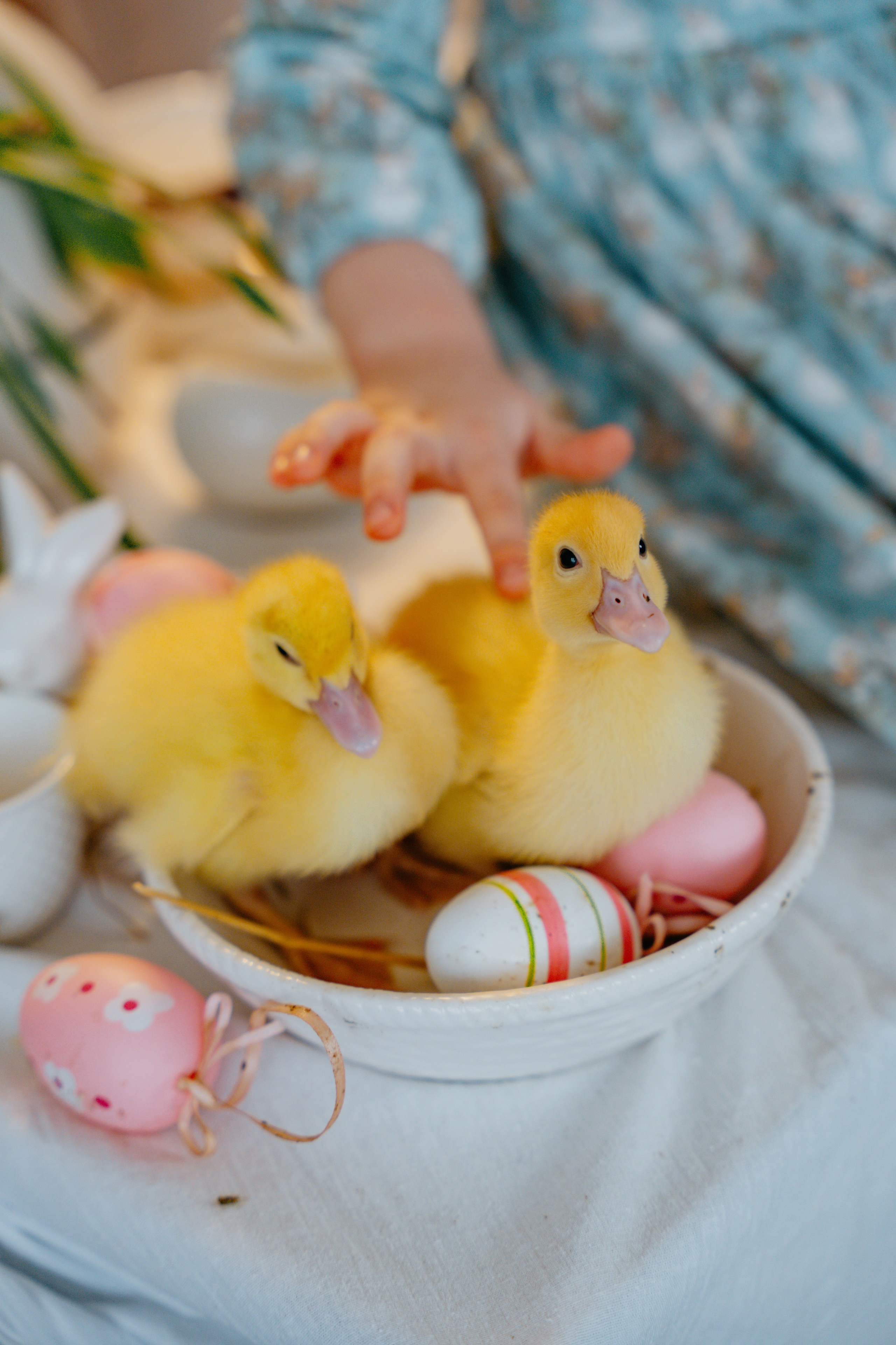 Счастливая Пасха