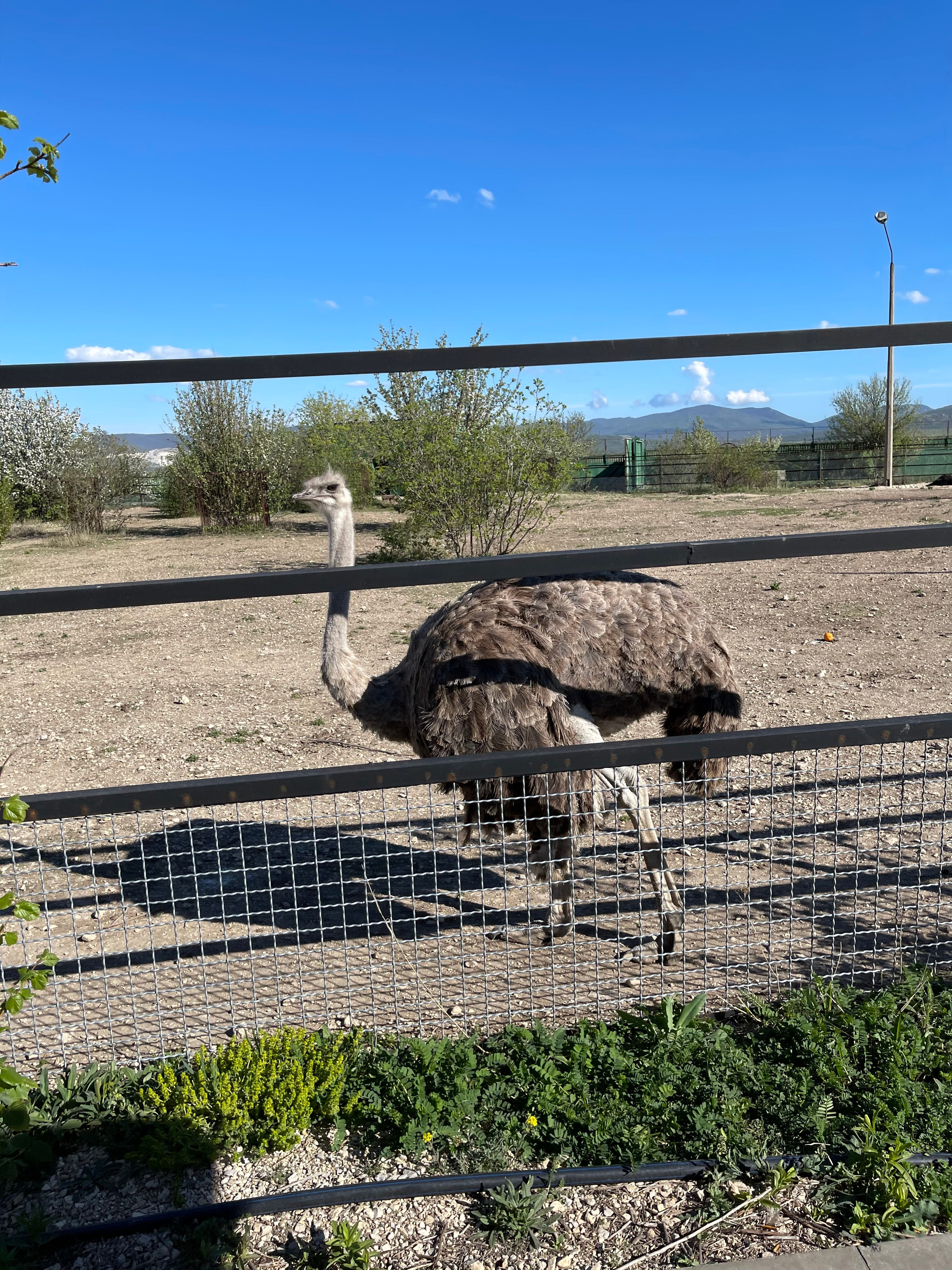 Крым — 21. Своя Мастерская