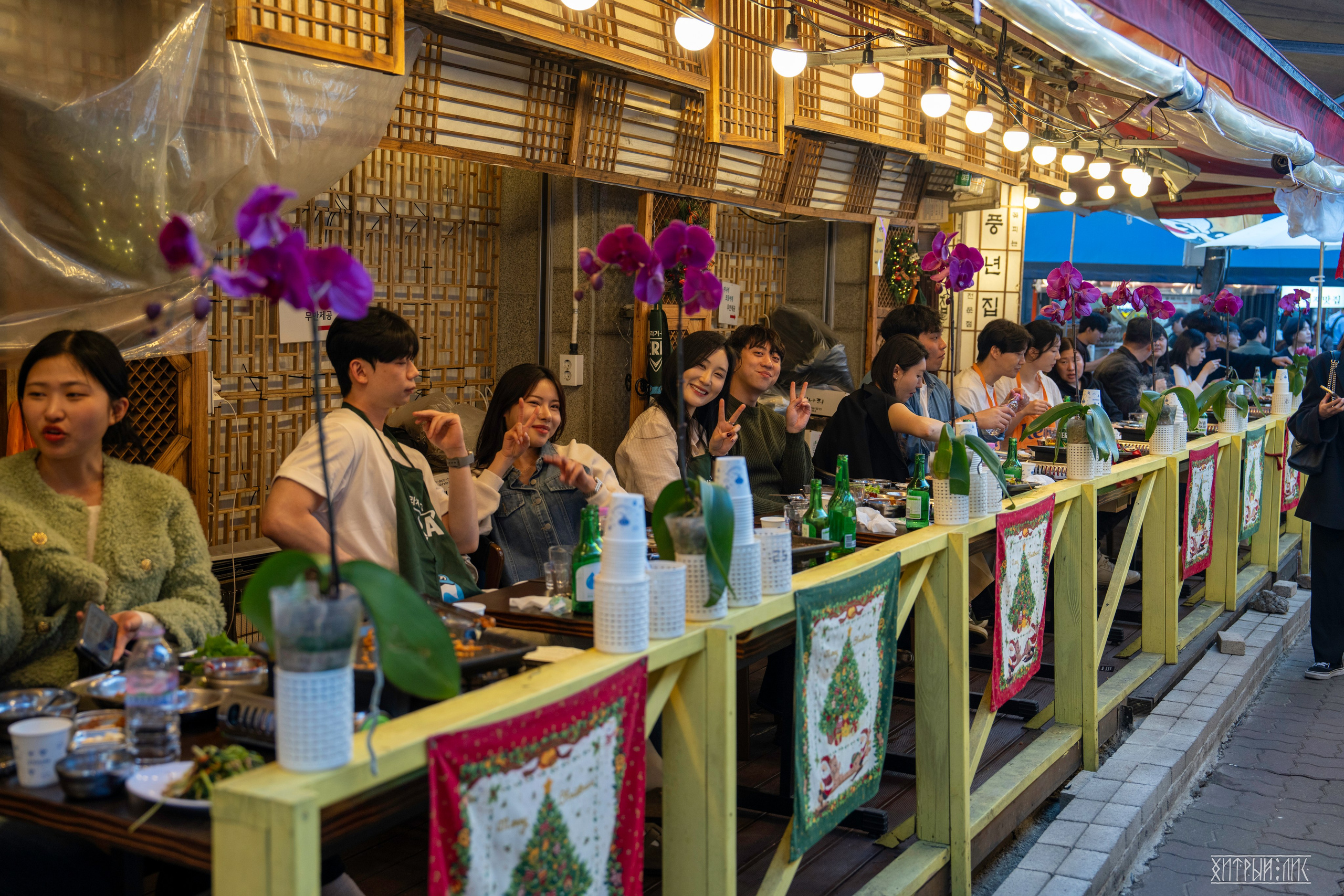 Южная Корея. Фотограф-путешественник Самойлов Максим «Sly Fox»