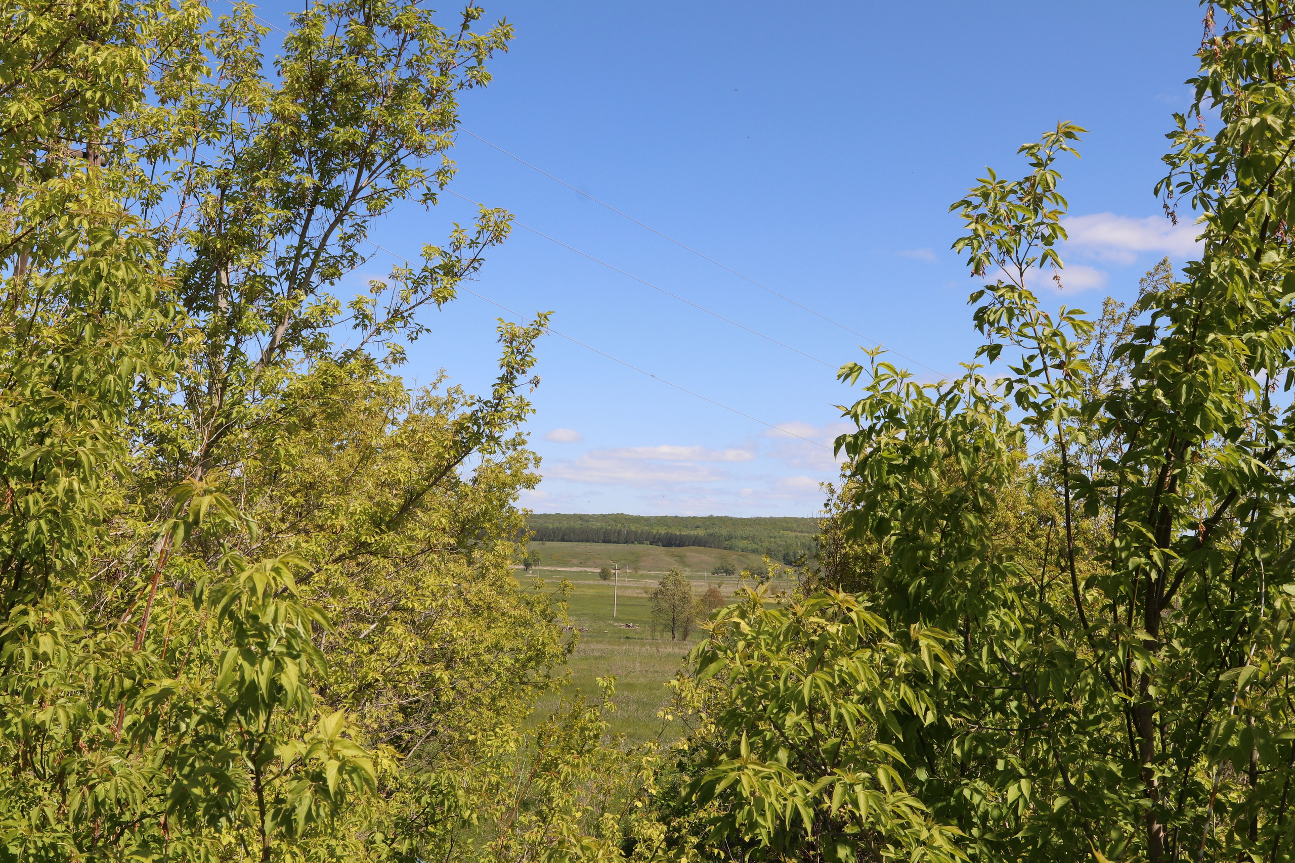 Велопоход Уфа — Мелеуз. Май 2024. Путешественник-фотограф из Санкт-Петербурга Татьяна Свистулина