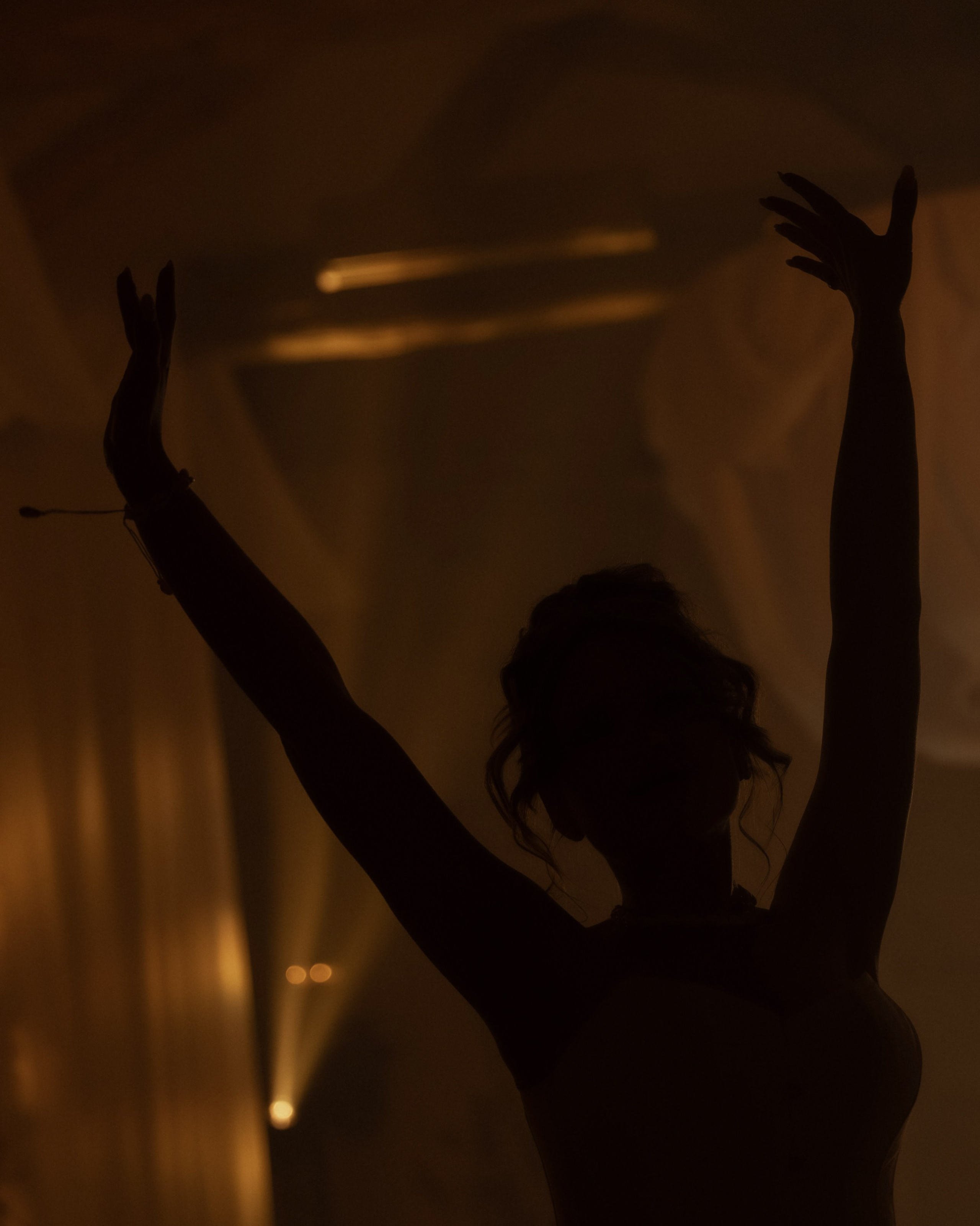 Лебеди. Свадебный фотограф Воронеж Москва СПБ