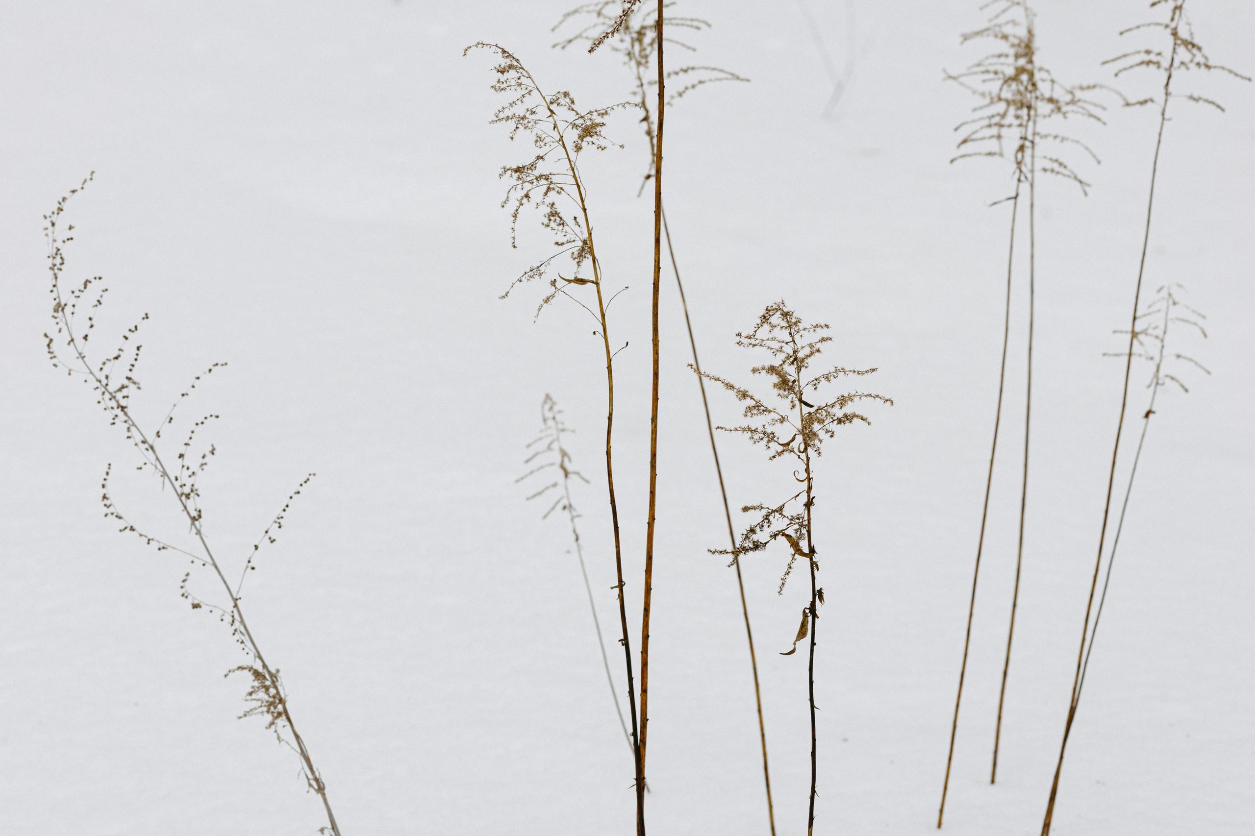 Изготовление куклы к Масленице. Про любовь