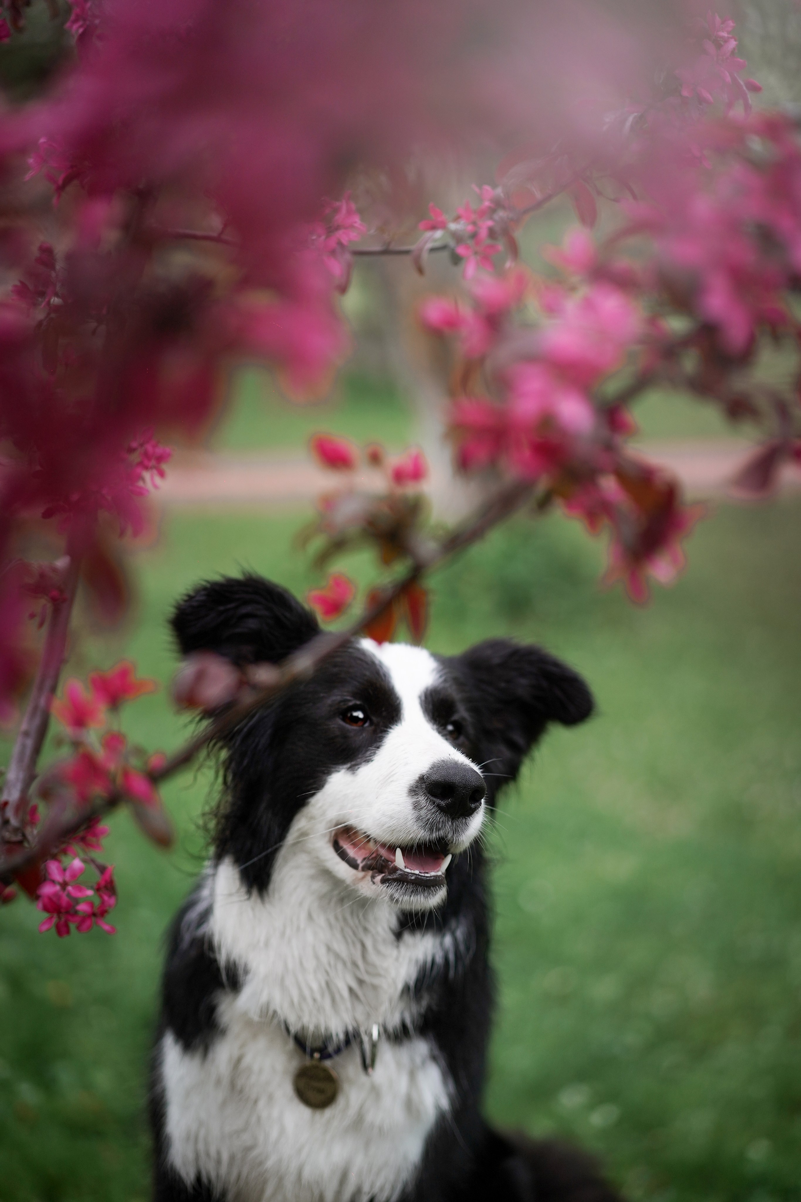 Юля, ее мама и Груша. Фотограф-анималист в Санкт-Петербурге Яна Мартынова