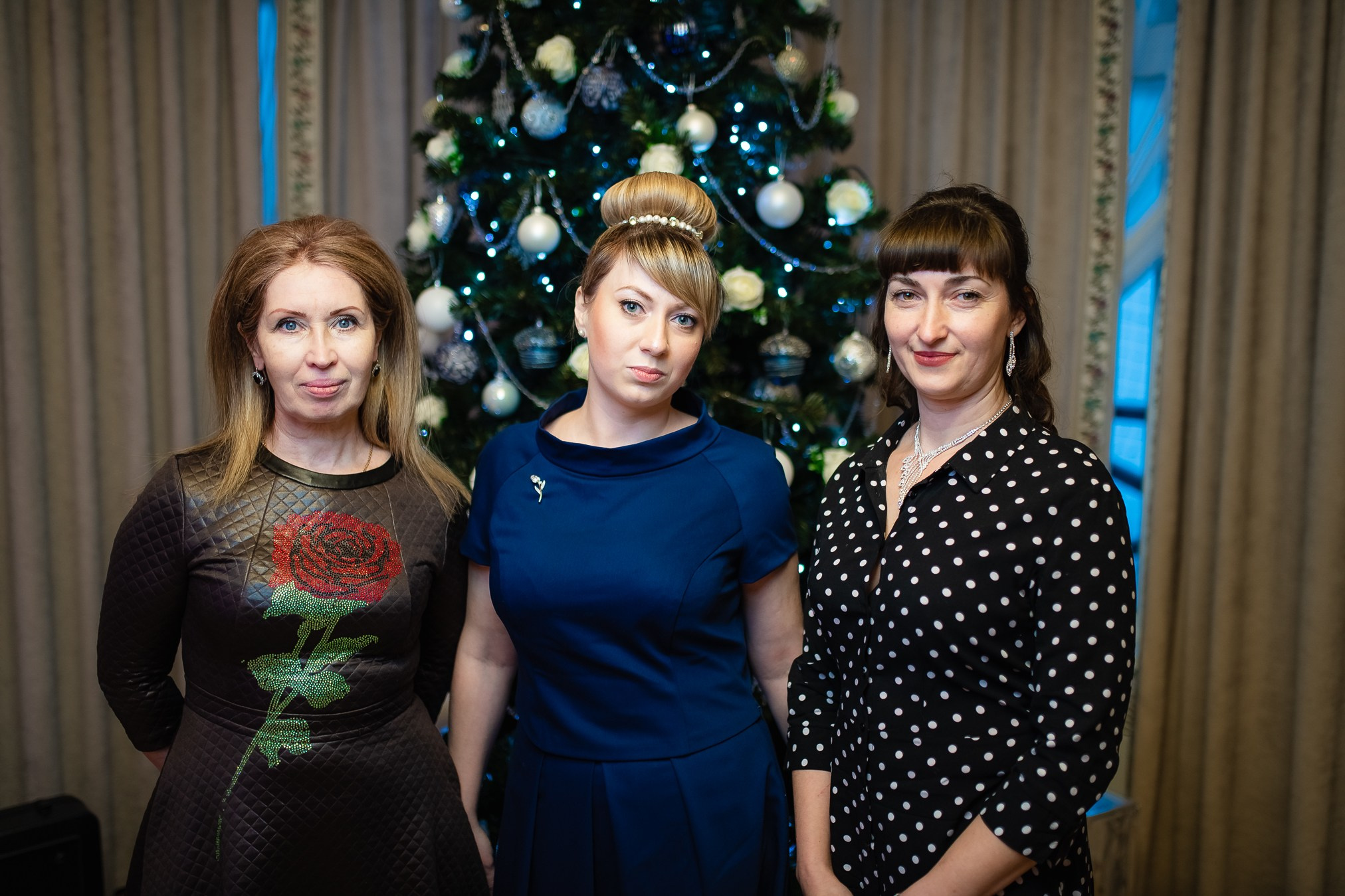 Новогодний. ProfotoNK