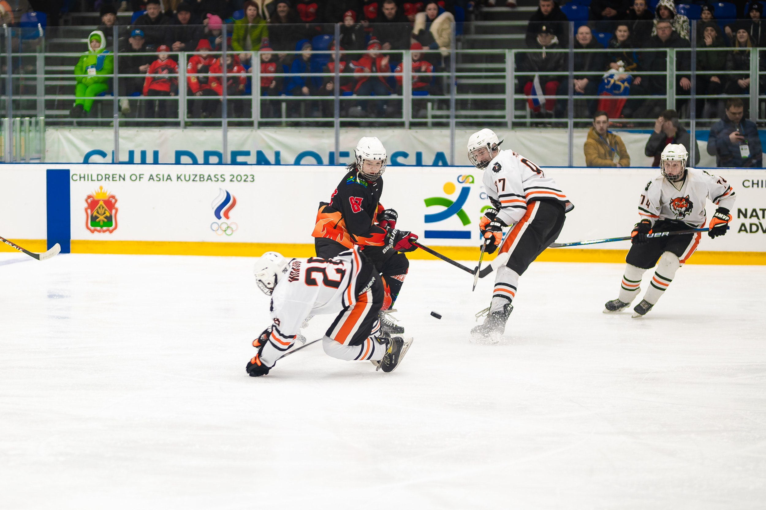 Кузбасс-ДФО. ProfotoNK