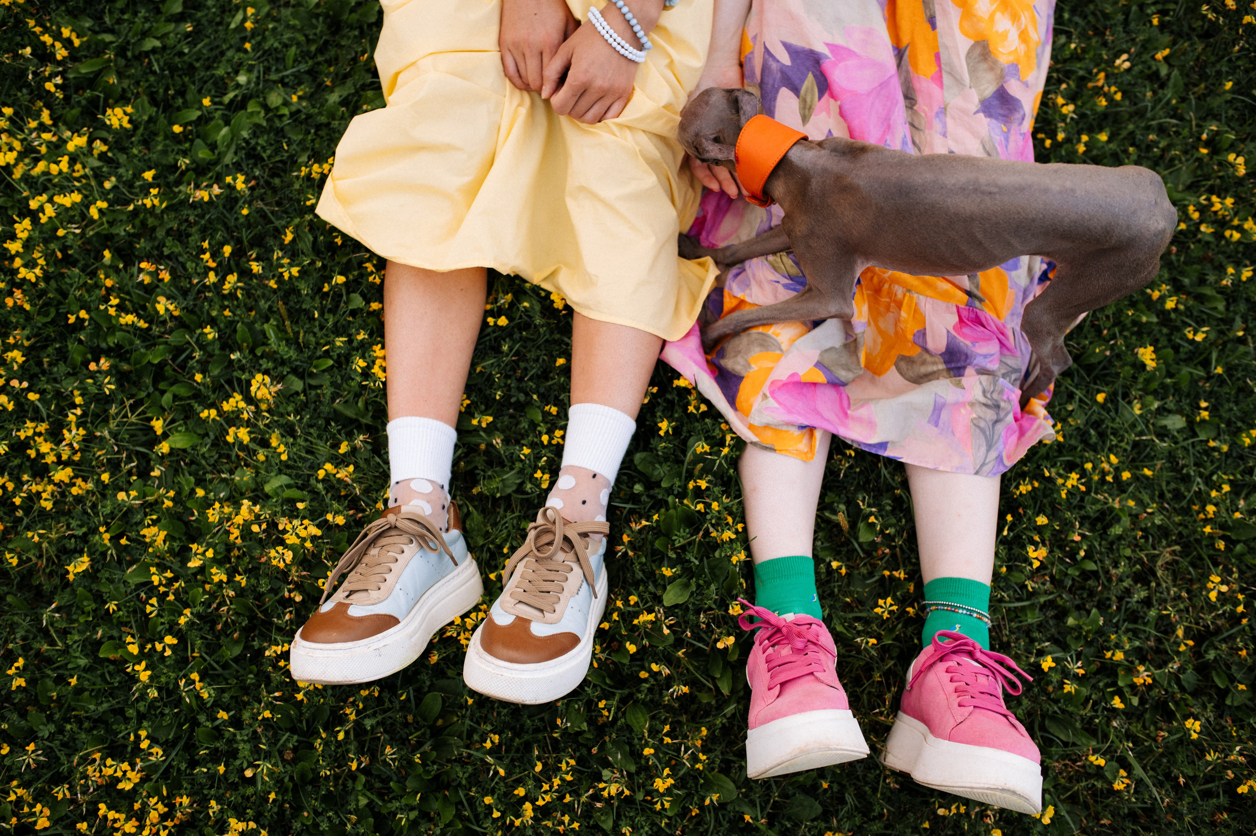Хвост, смех и лучшие подруги. Фотограф анималист в Москве Ольга Агушева