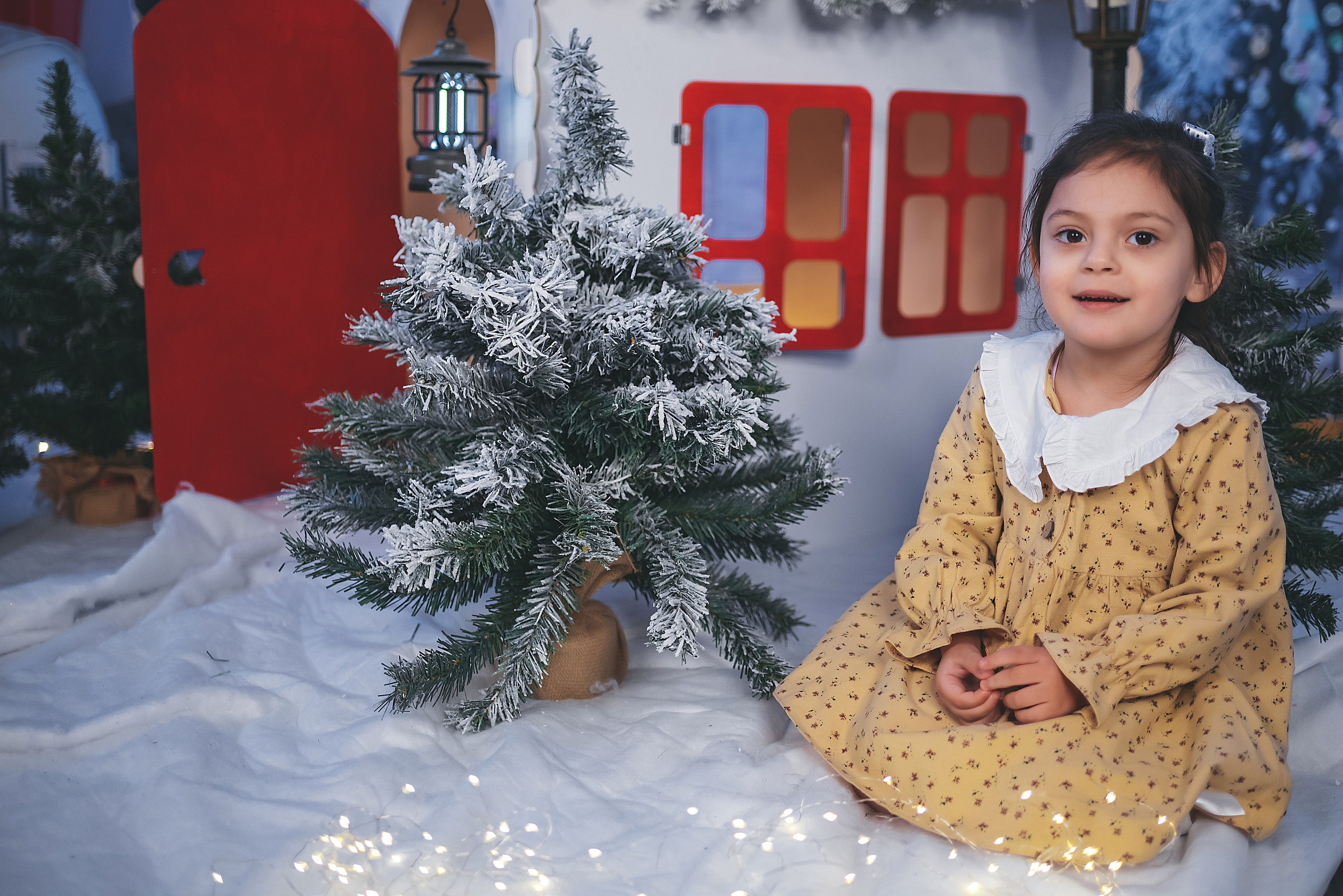 Проект «Новогодний домик». Семейный и детский фотограф в Тейково