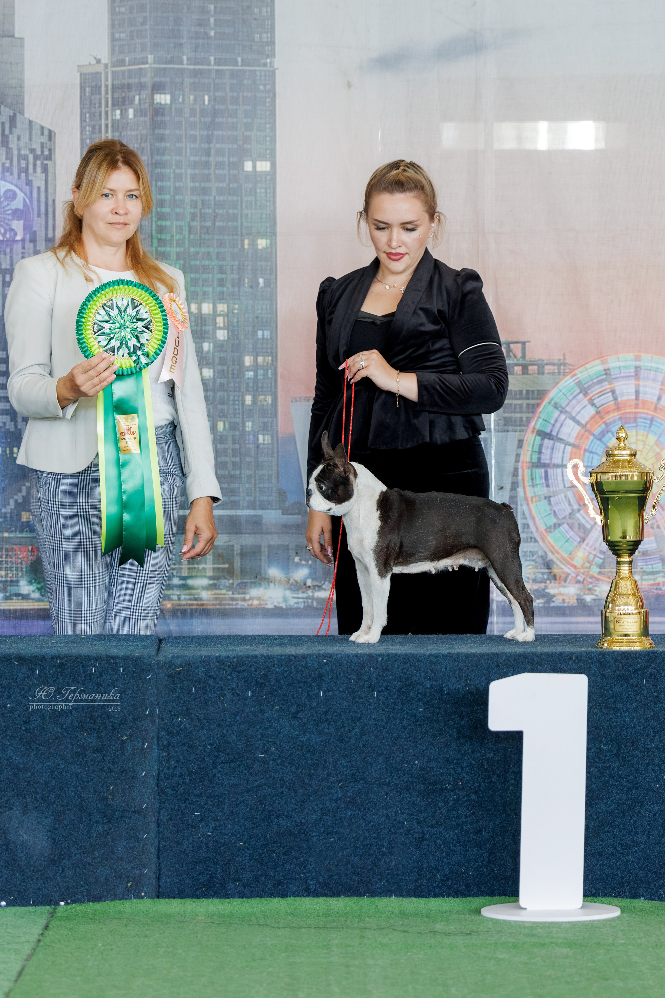 Батуми 3хCACIB 27-29.06.2025. Фотограф-анималист Юлия Германика