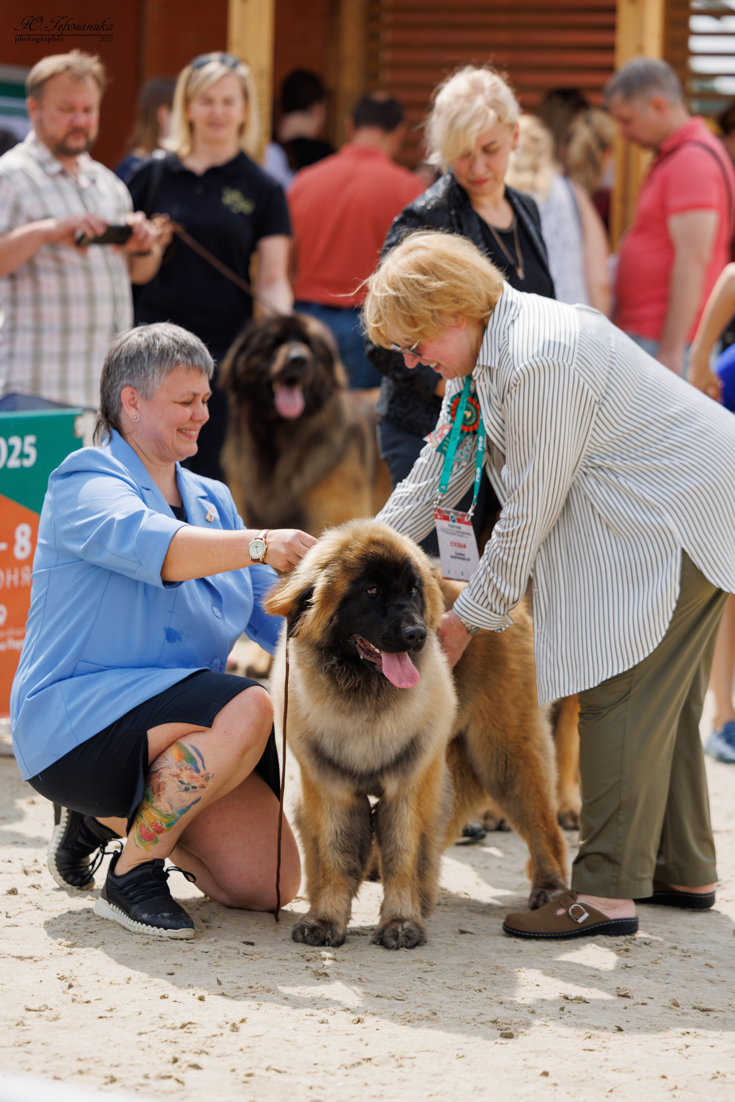 РОССИЯ 7-8.06.2025. Фотограф-анималист Юлия Германика