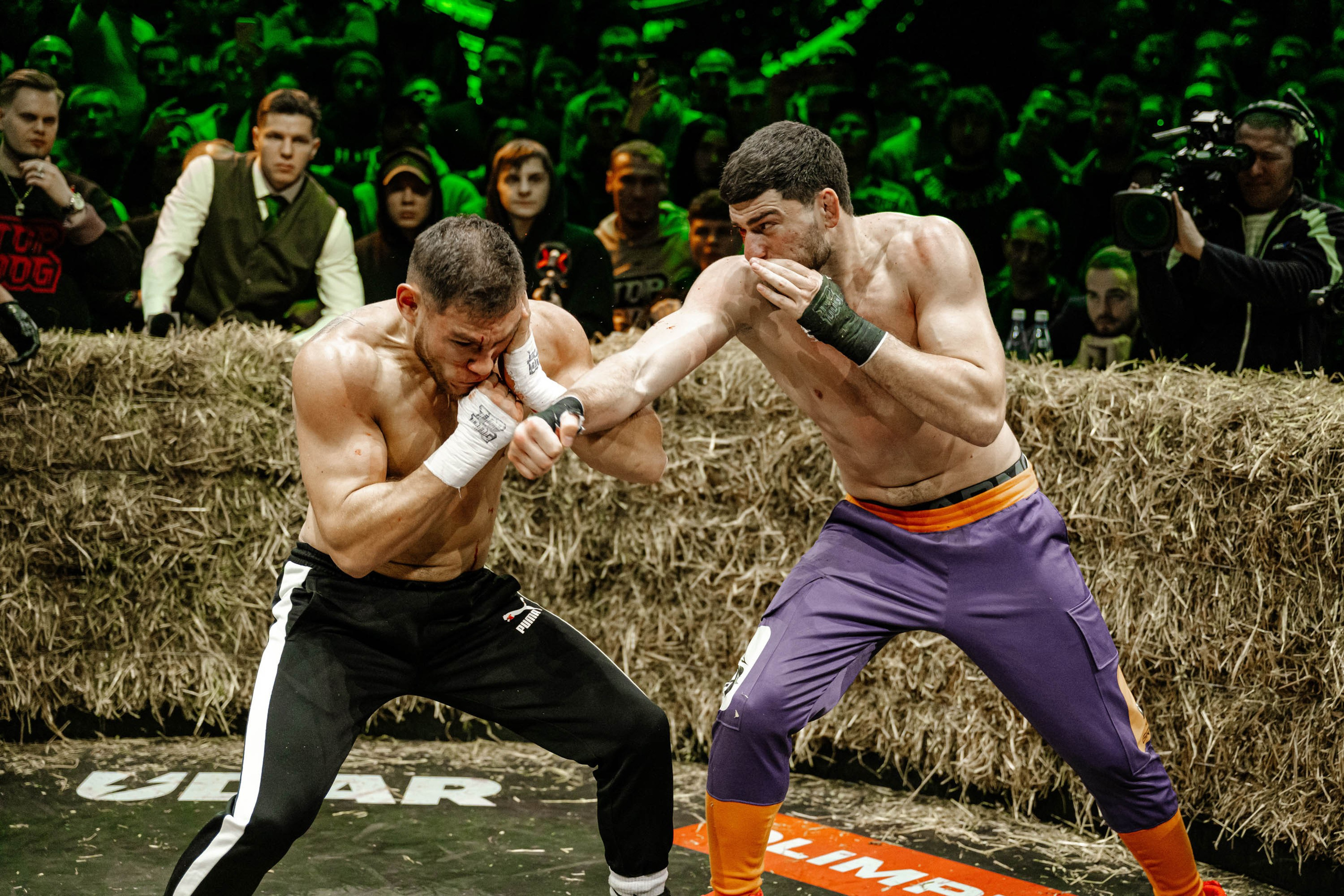 TOP DOG. Максим Комаров — Профессиональный фотограф