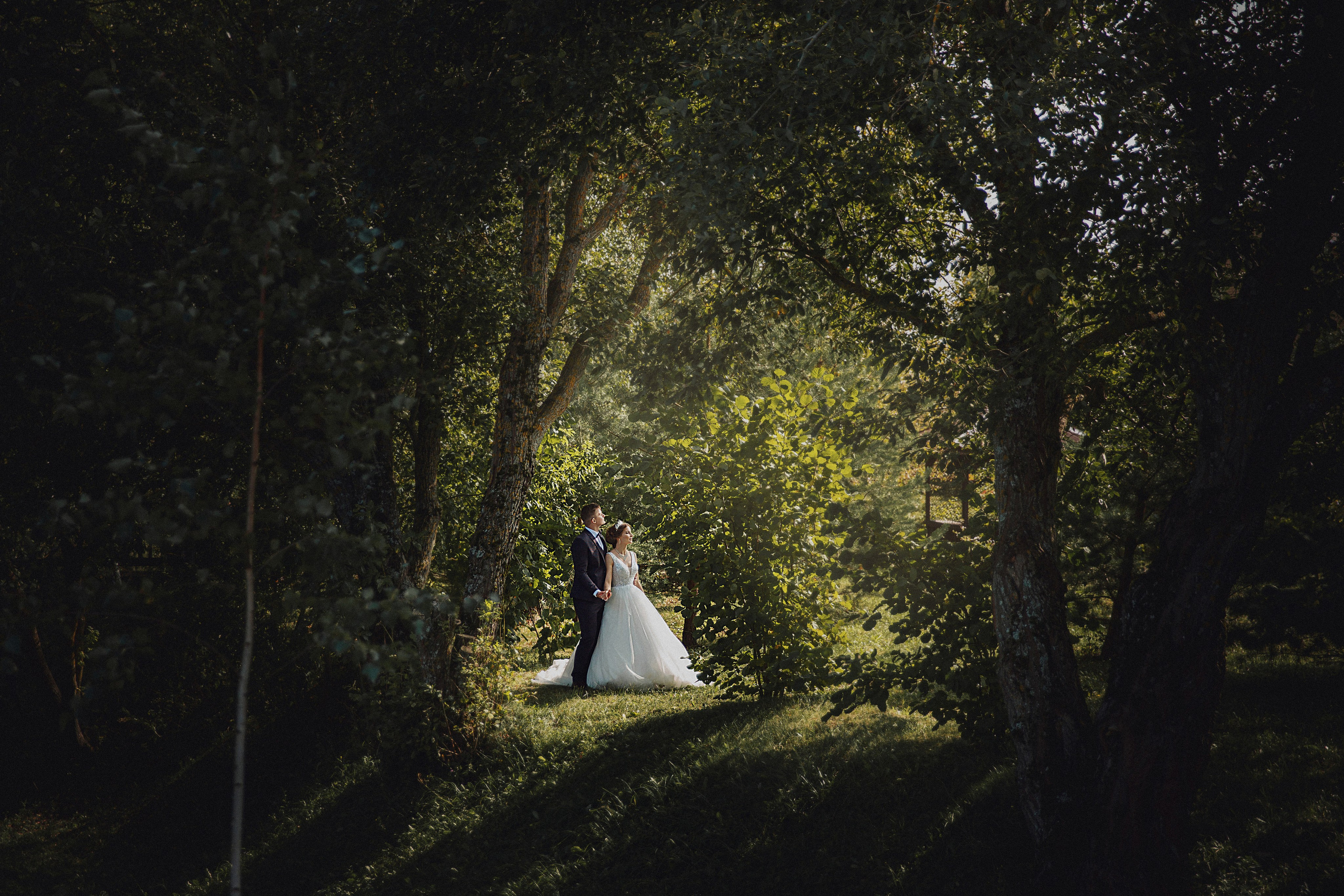 Свадебная серия Андрей и Натальи