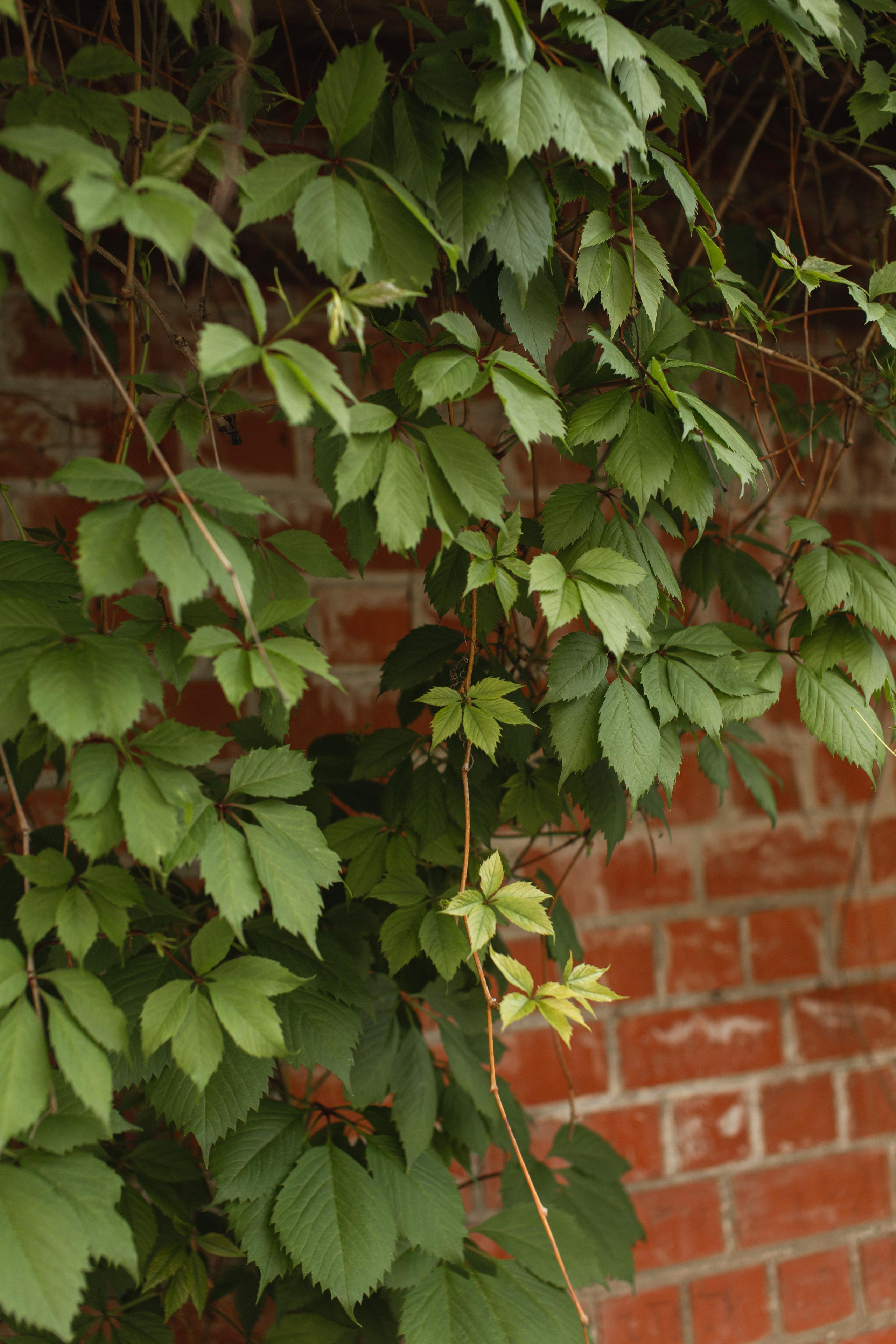 Никита и Мария. Профессиональная видео и фото съёмка в Калуге и области