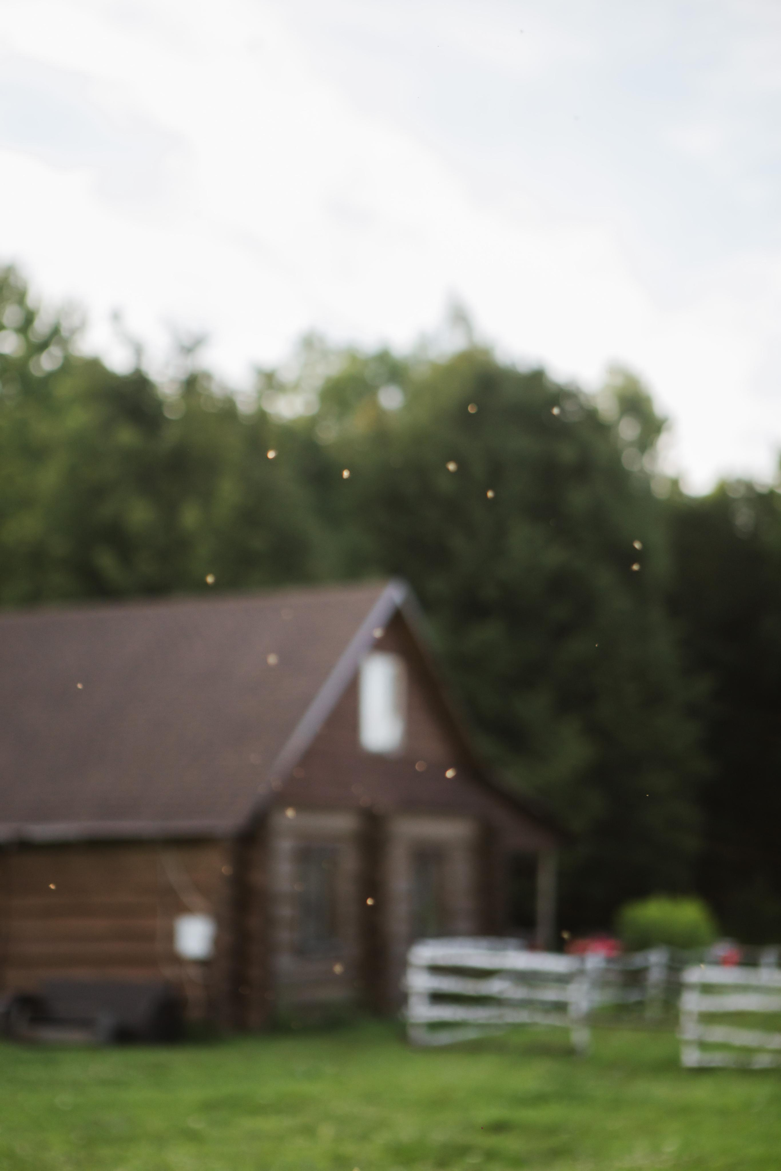 Григорий и Алёна. Профессиональная видео и фото съёмка в Калуге и области