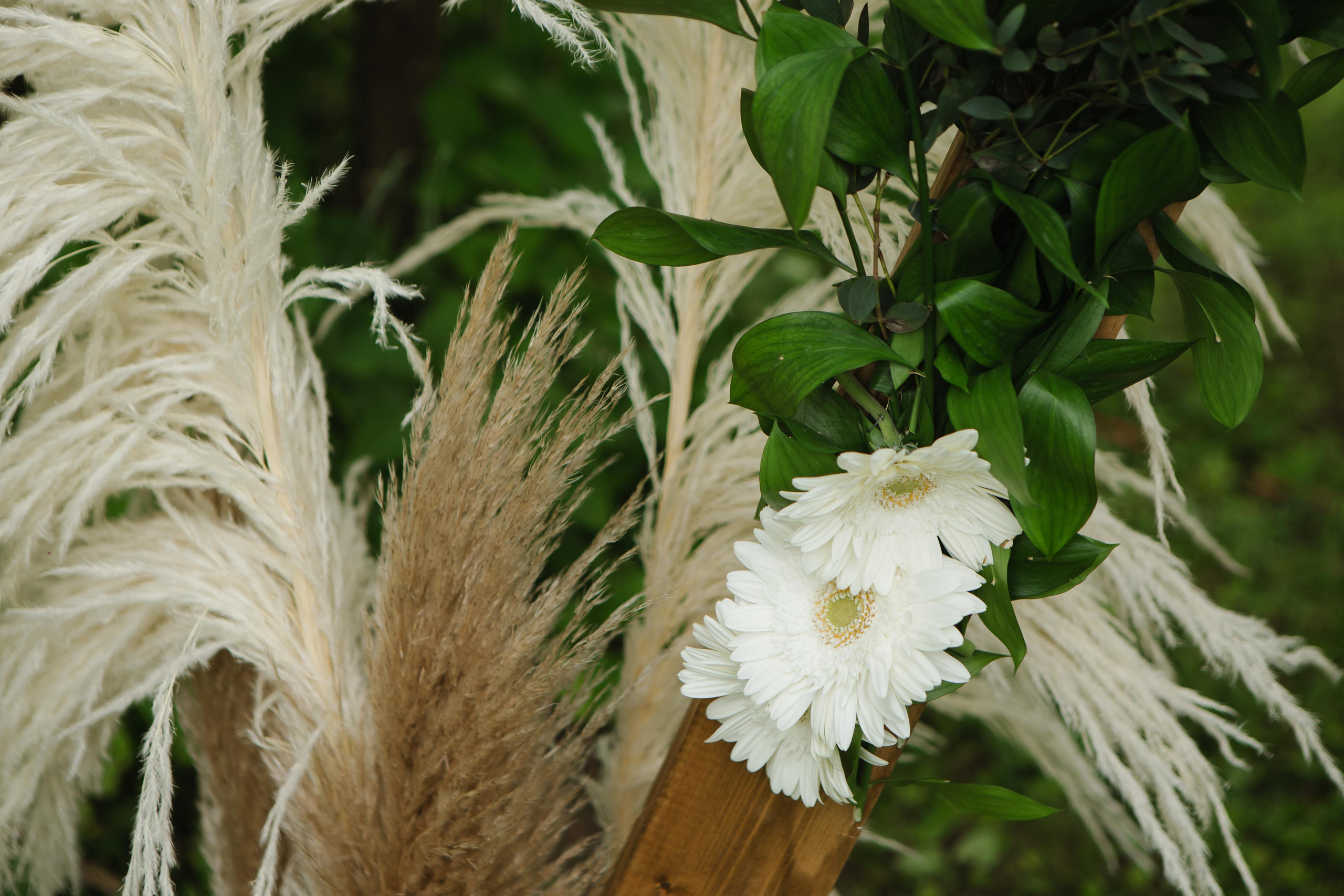 Григорий и Алёна. Профессиональная видео и фото съёмка в Калуге и области