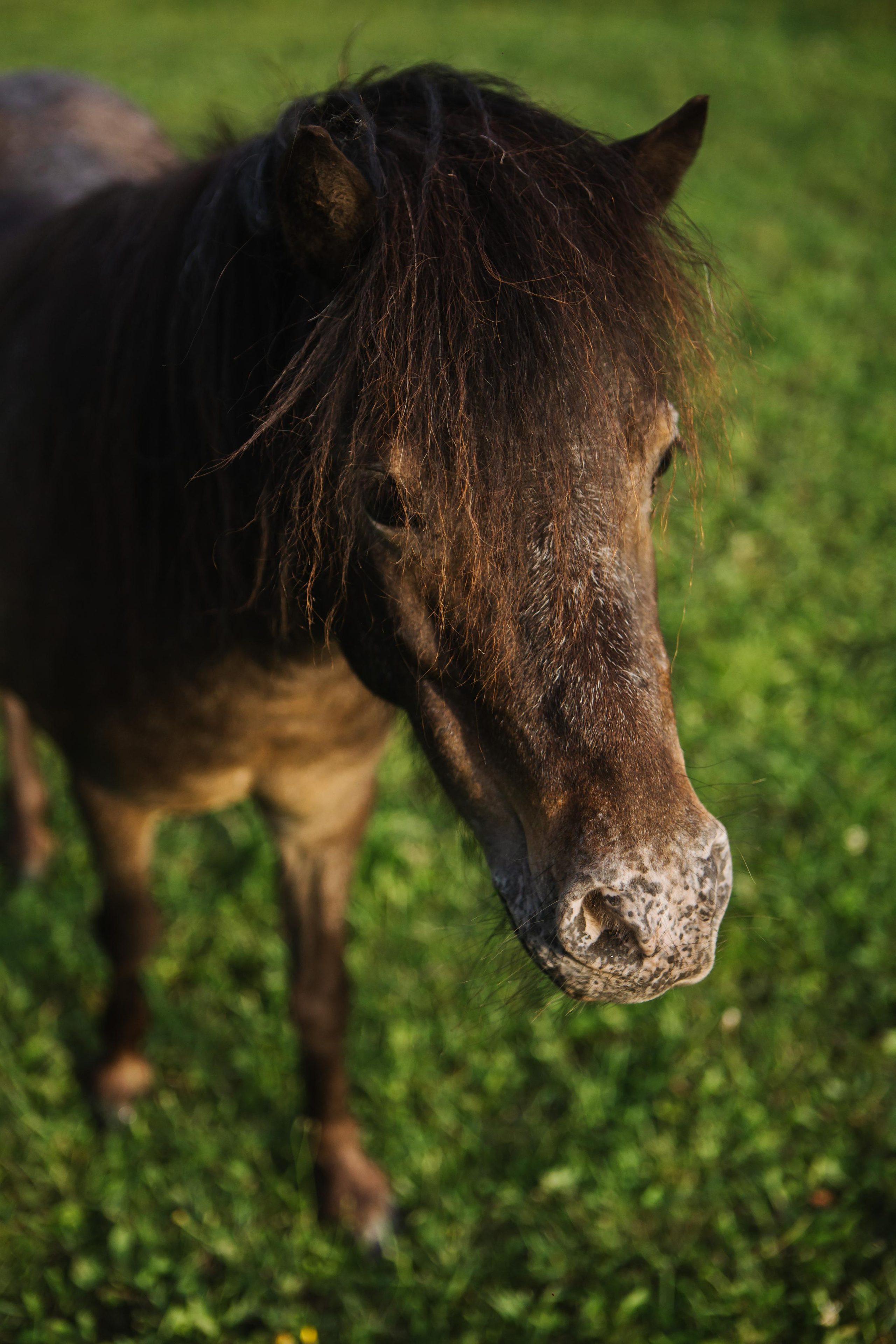 Григорий и Алёна. Профессиональная видео и фото съёмка в Калуге и области