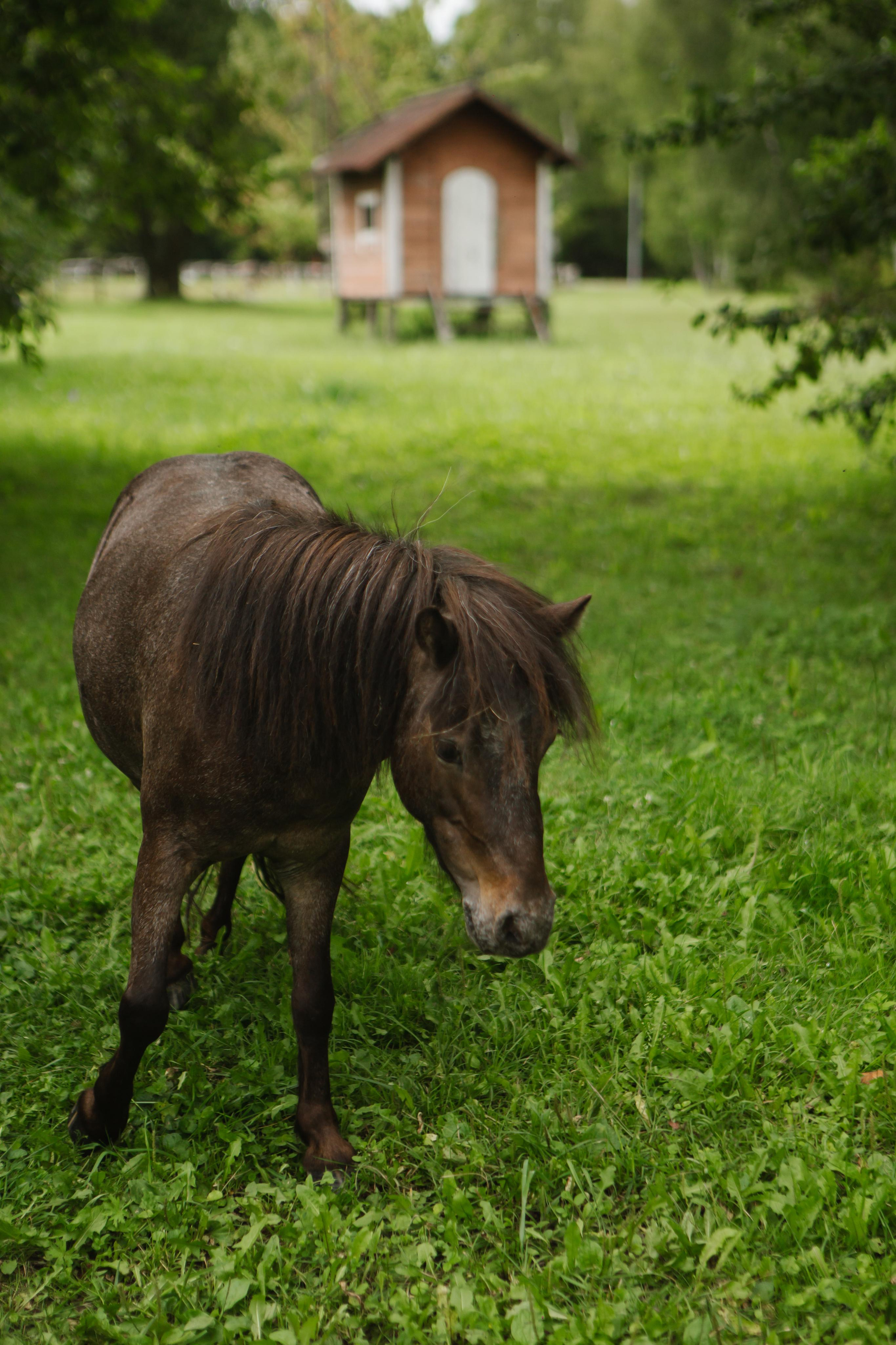 Григорий и Алёна. Профессиональная видео и фото съёмка в Калуге и области