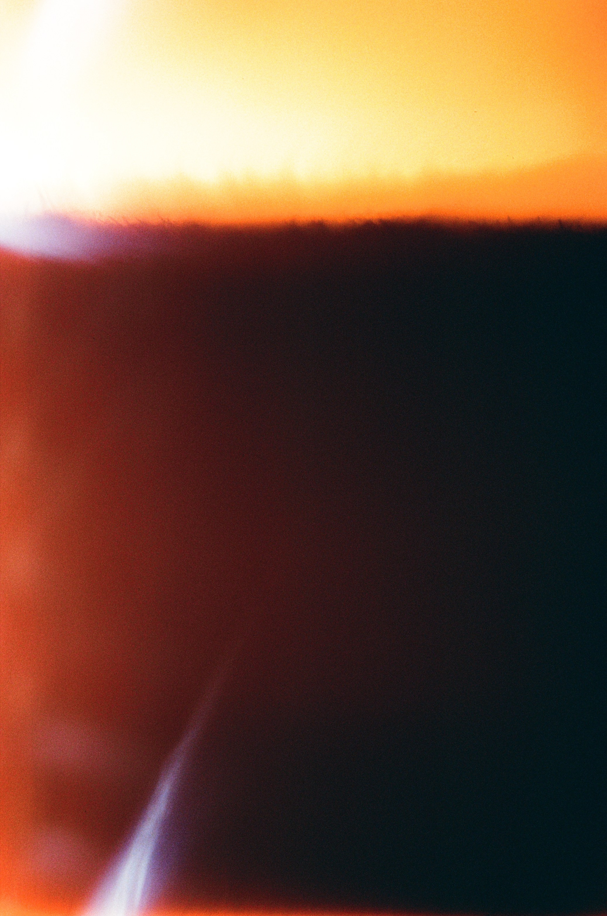 Автор: Саша Серебровская