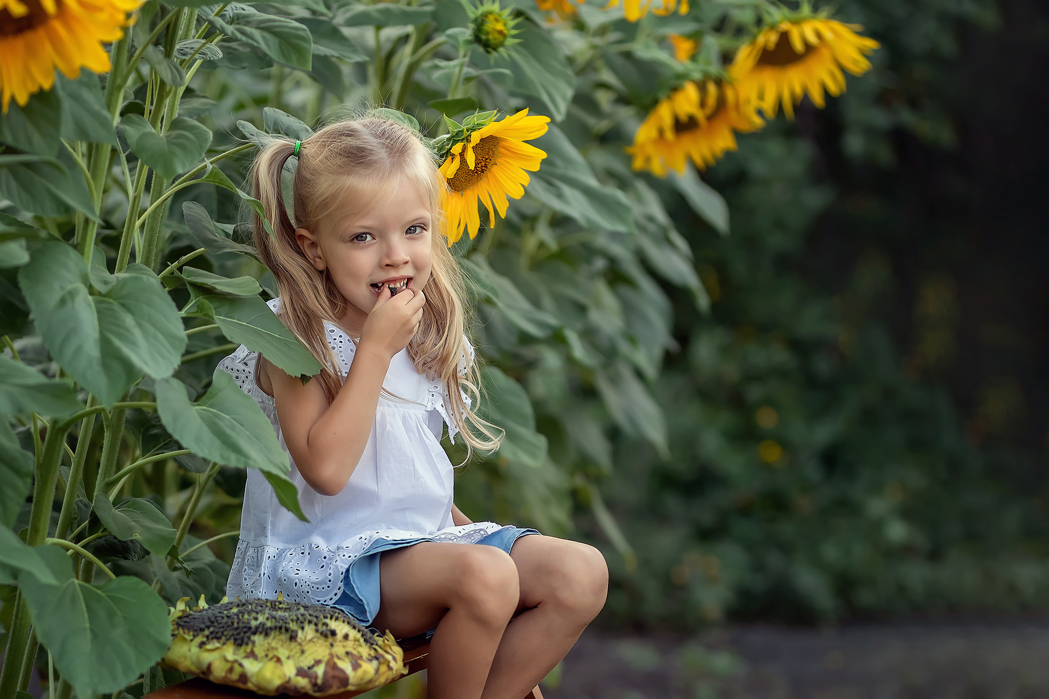 Детский и семейный фотограф в Москве Перфилова Анна