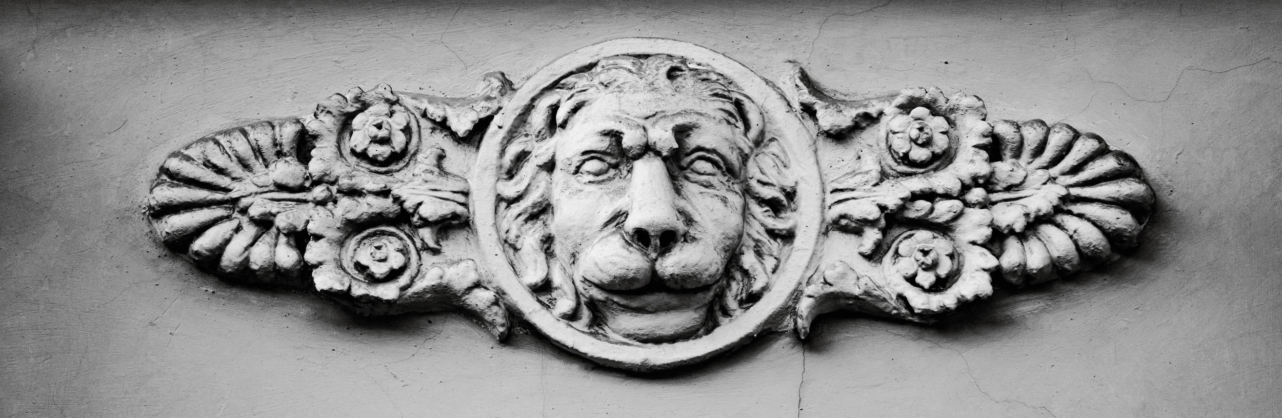 Saint Petersburg. The Andris