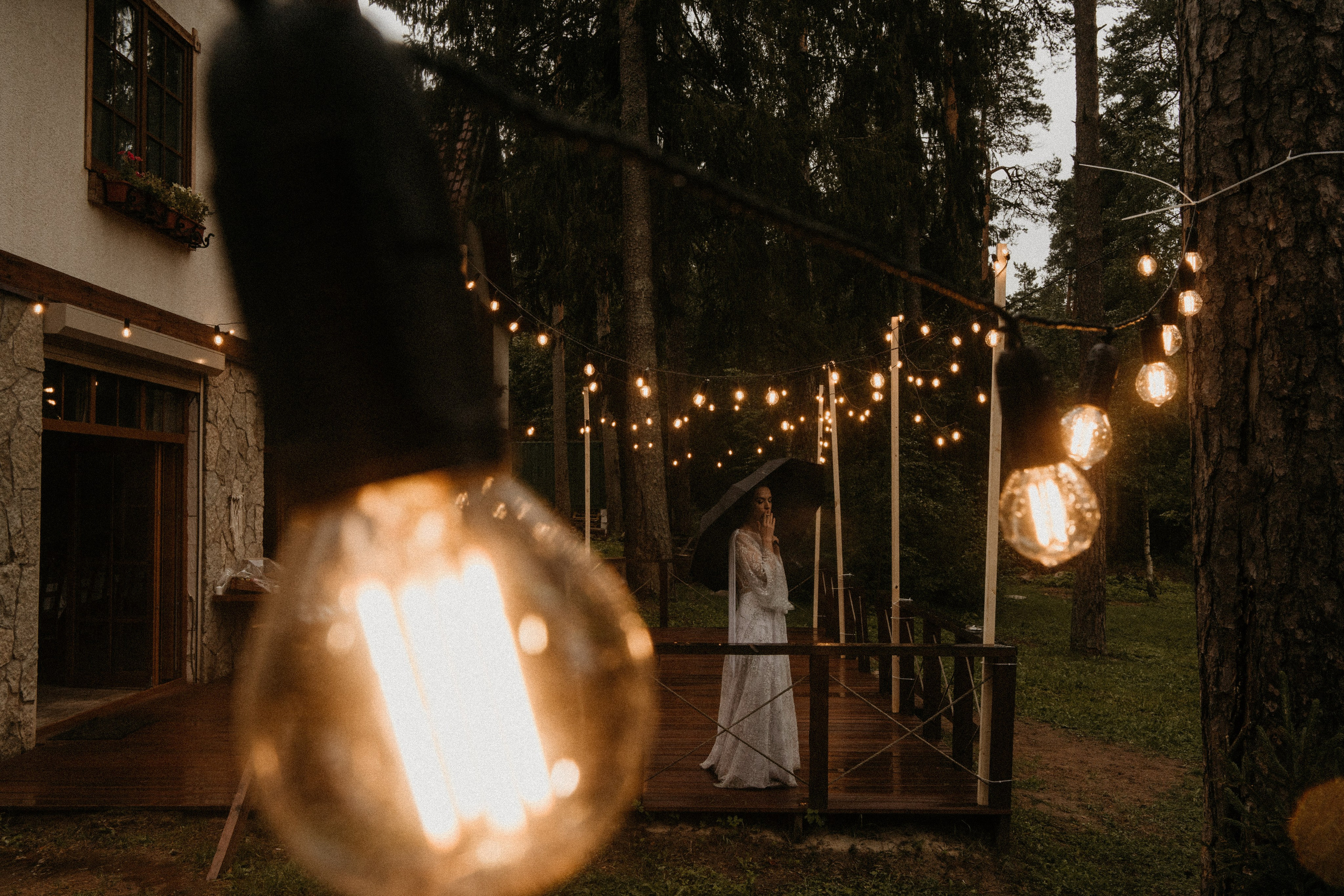 УТРО В ЛЕСУ. Миша Снимет | твой фотограф