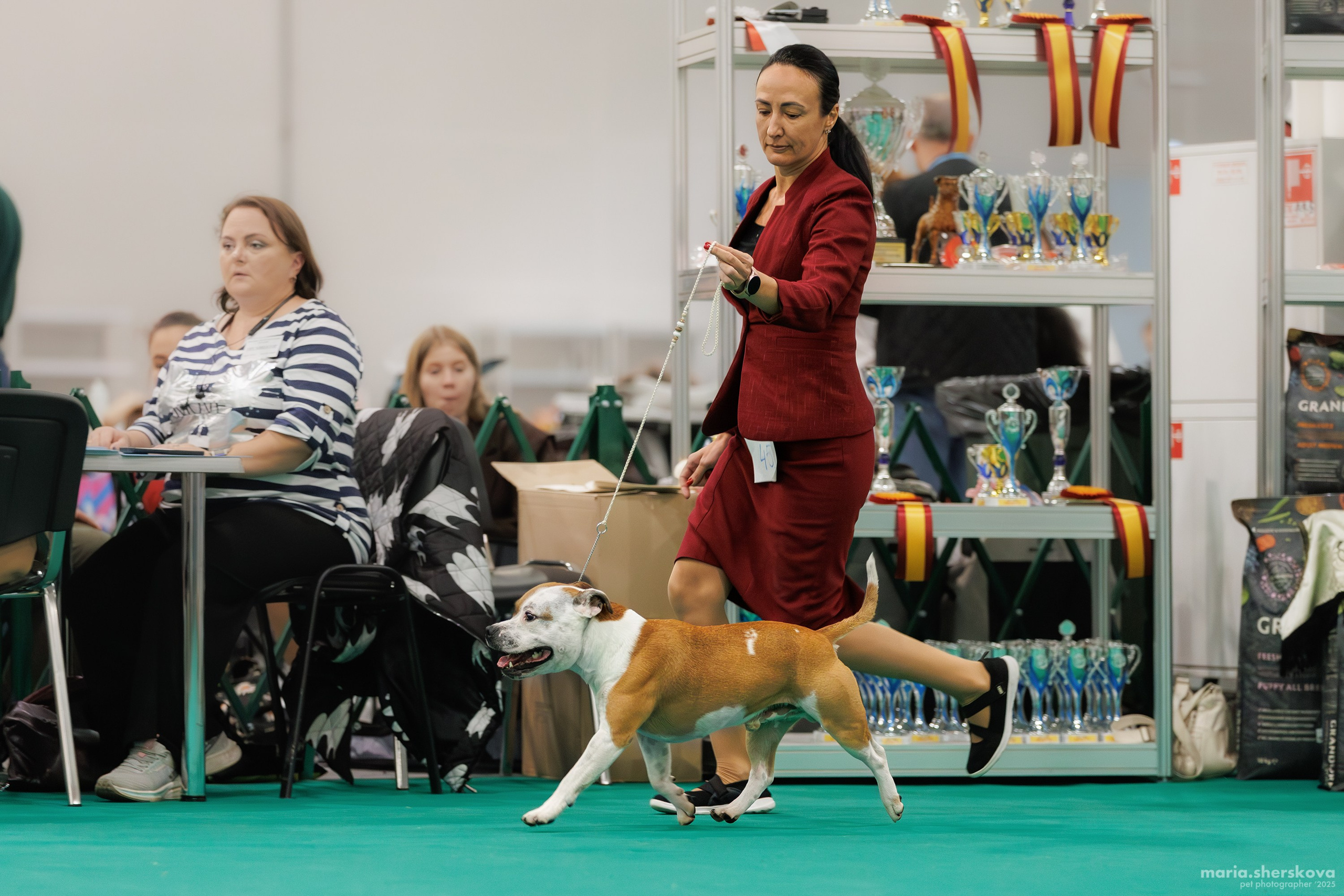 Выставки. Фотограф-анималист в Калуге Мария Шерскова