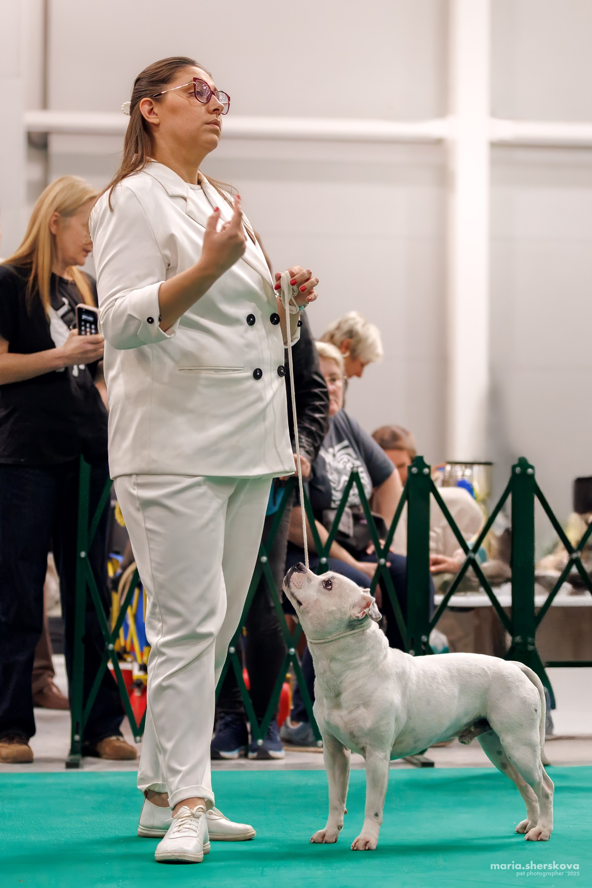 Выставки. Фотограф-анималист в Калуге Мария Шерскова