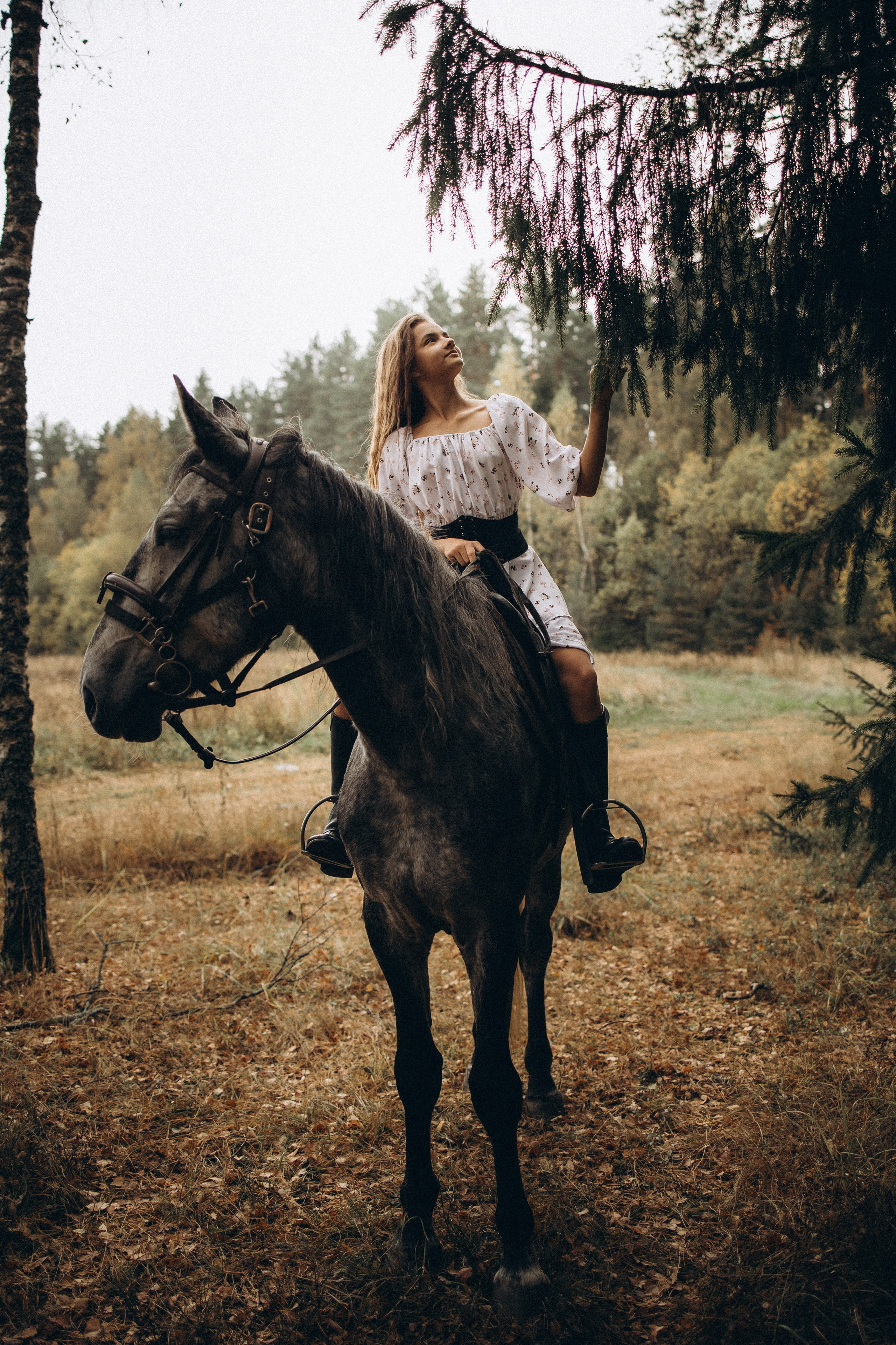 Лошади. Ваш фотограф в Москве и области Юлия
