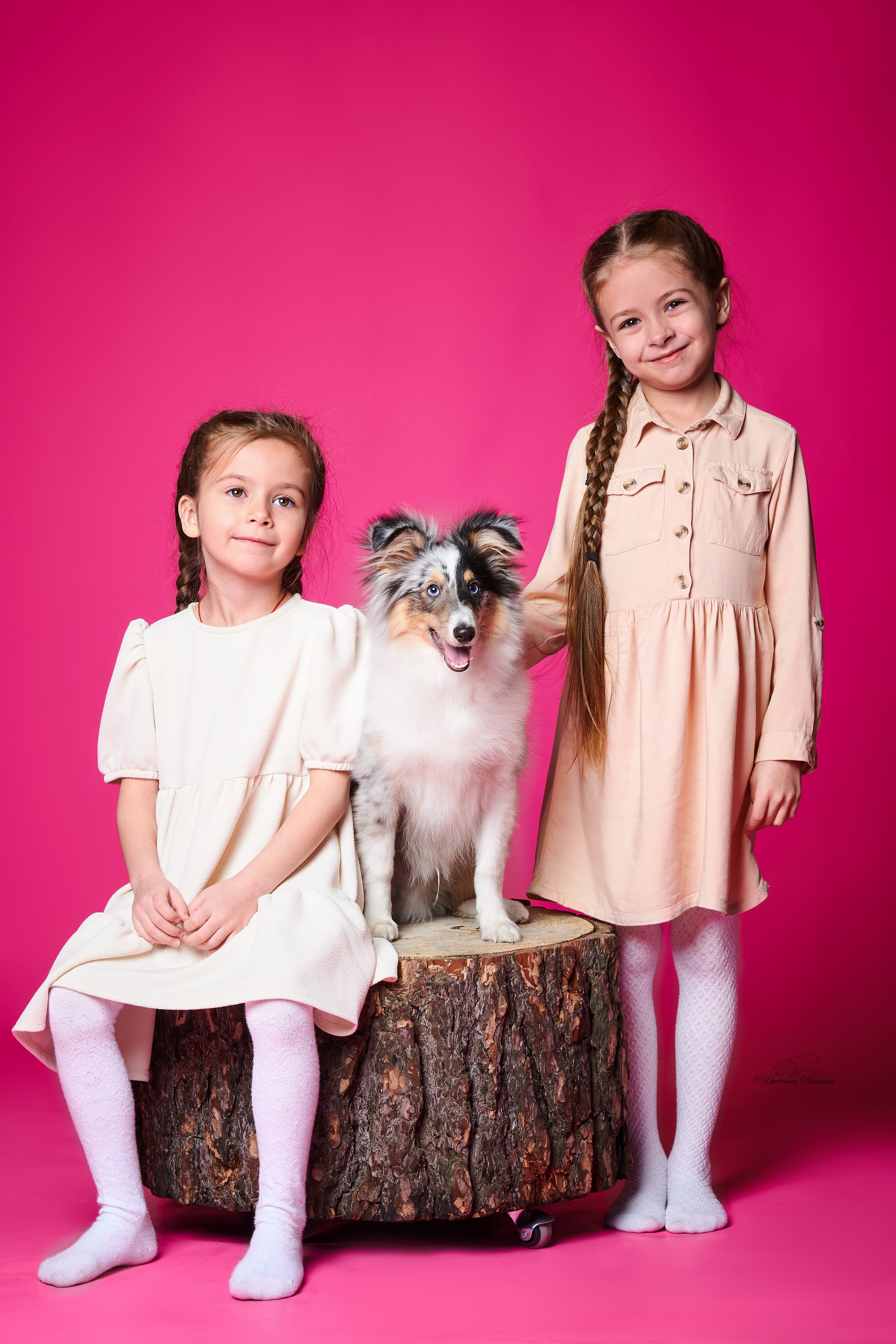 Джек и его семья. Фотограф-анималист в Иркутске