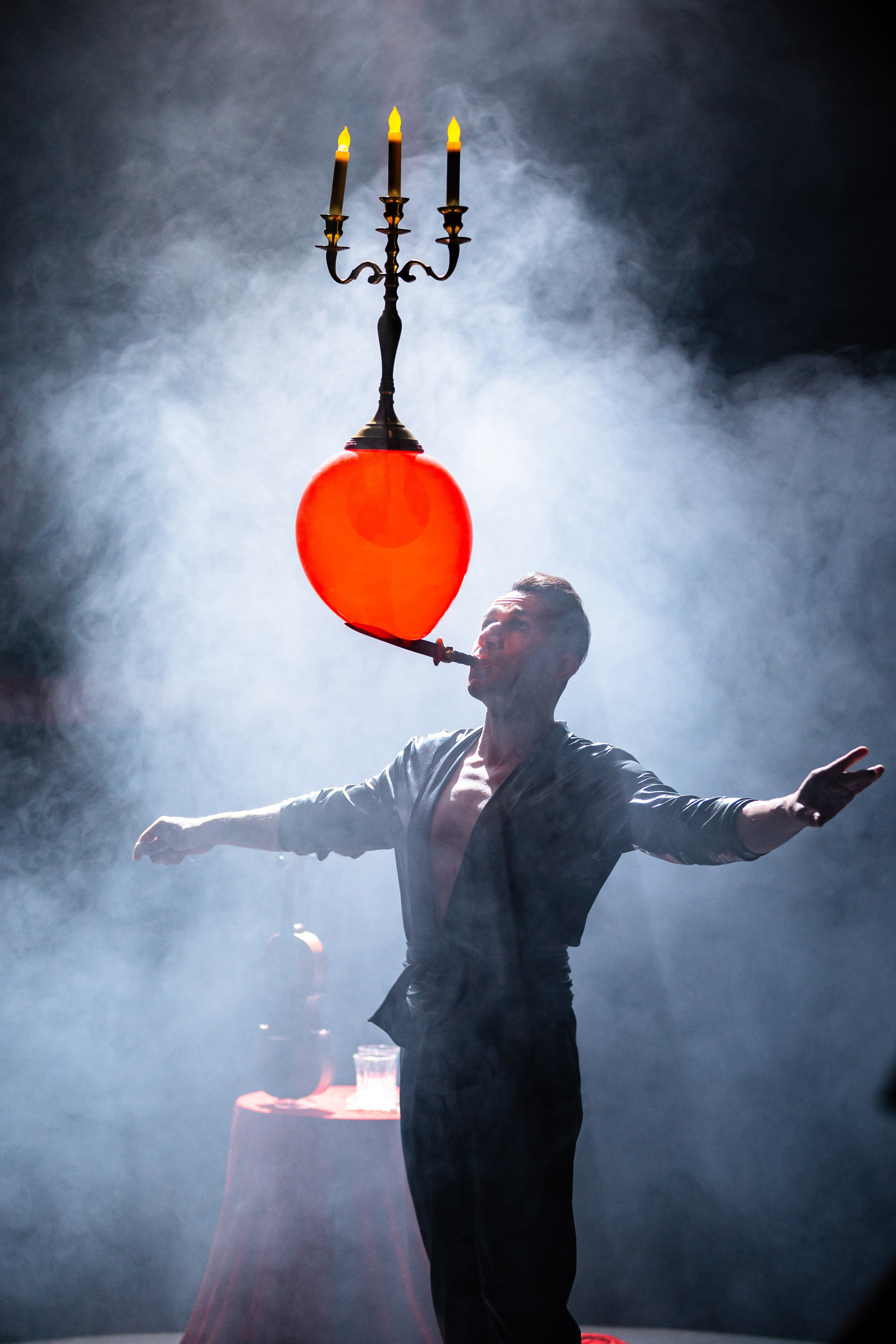 Цирковое шоу. Видеограф Добромыслов