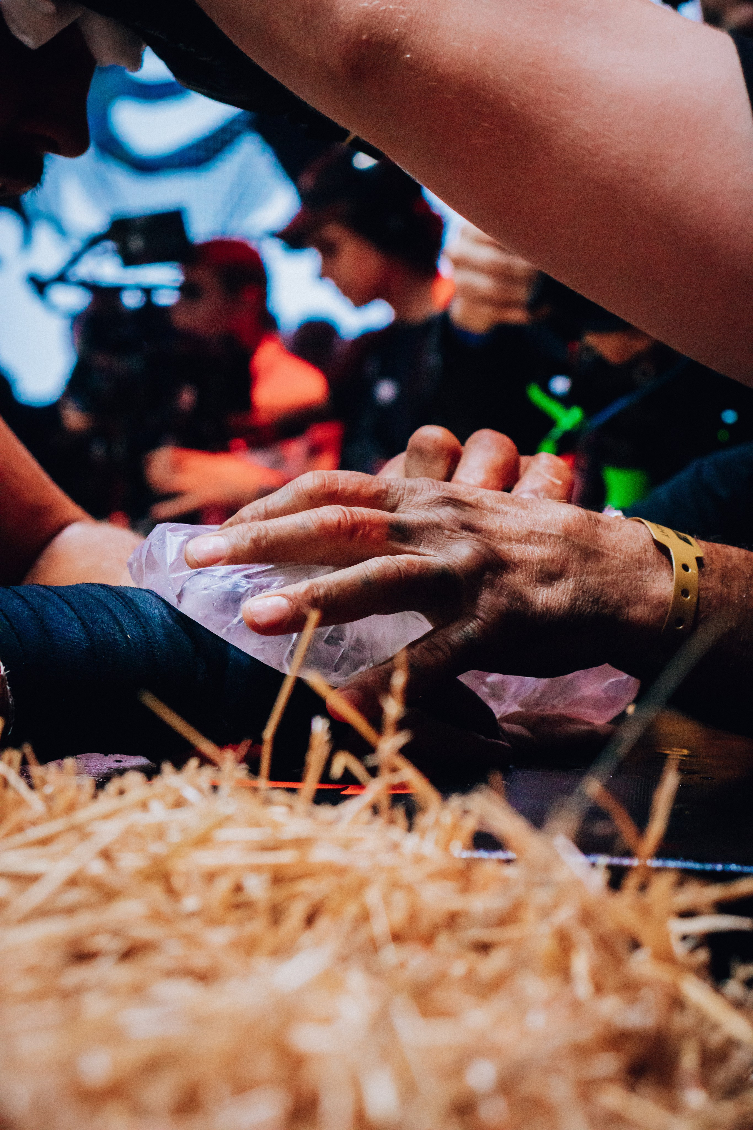 Кулачные бои TopDog. Анастасия Тен