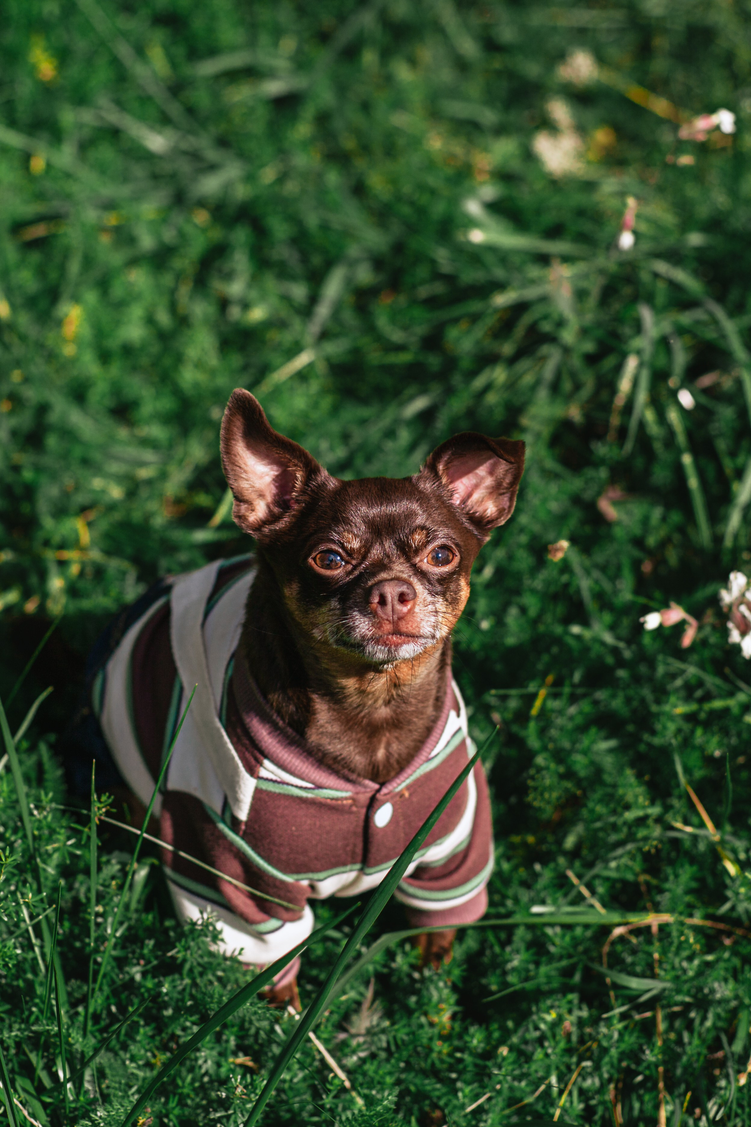 Восточный мост. Фотограф-анималист Татьяна Степанова
