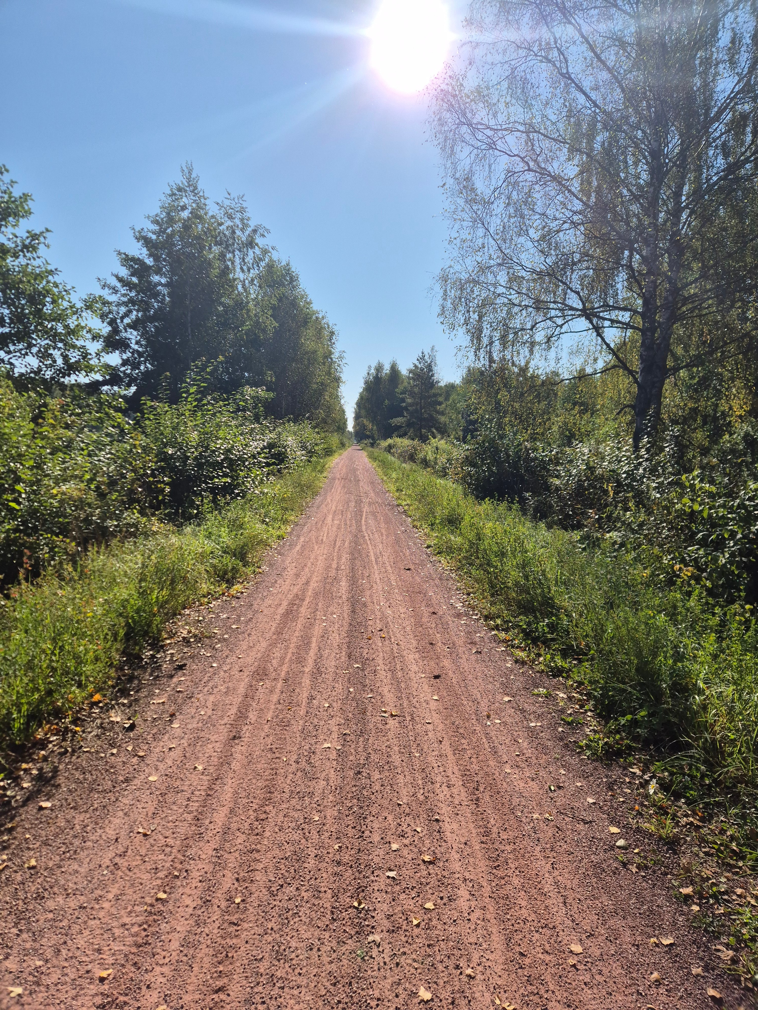 Ветра нет, ехать - сплошное удовольствие