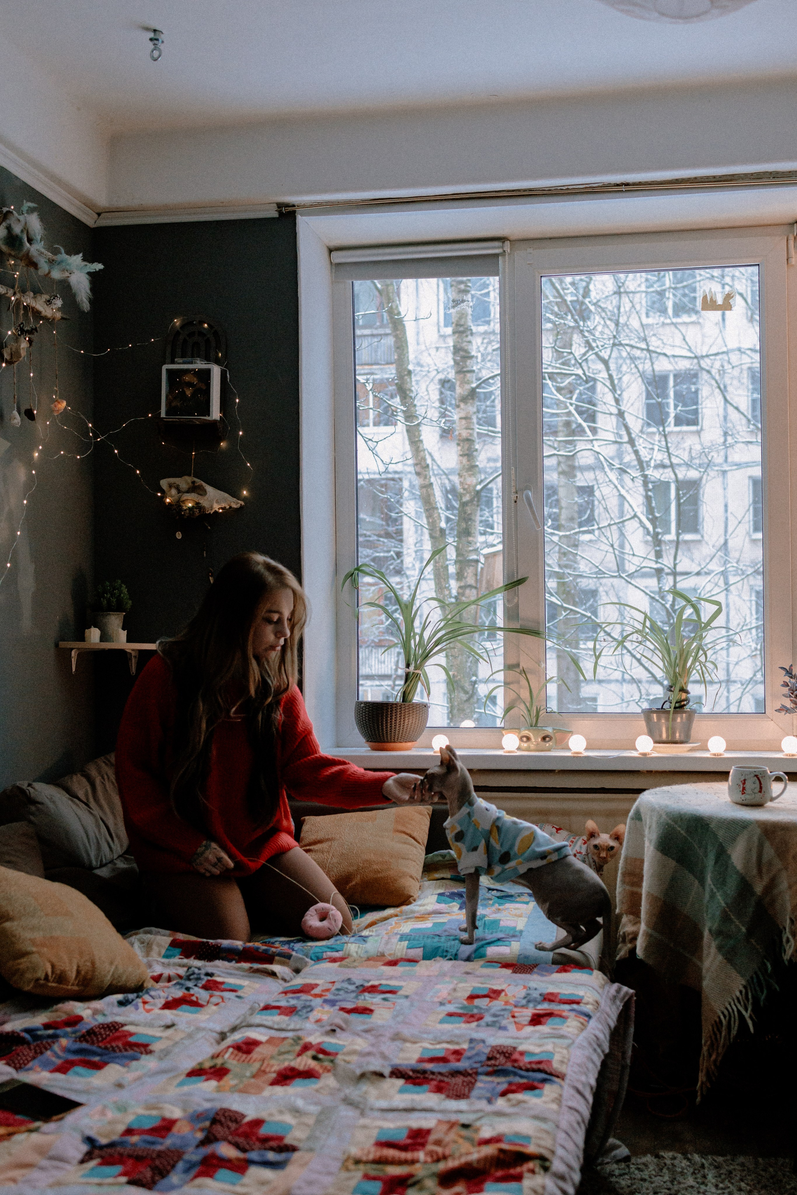 Алиса и котики. Фотограф в Санкт-Петербурге Алёна Губинская