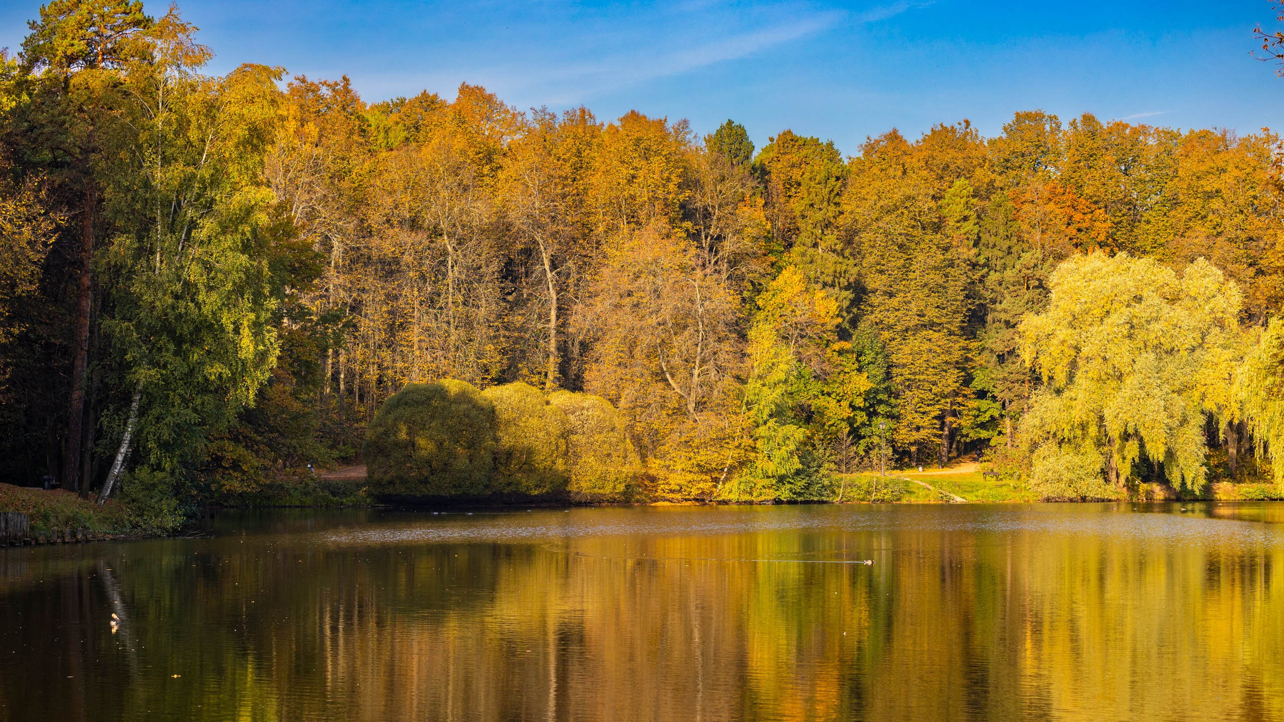 2023 09 Царицыно. Фотографии