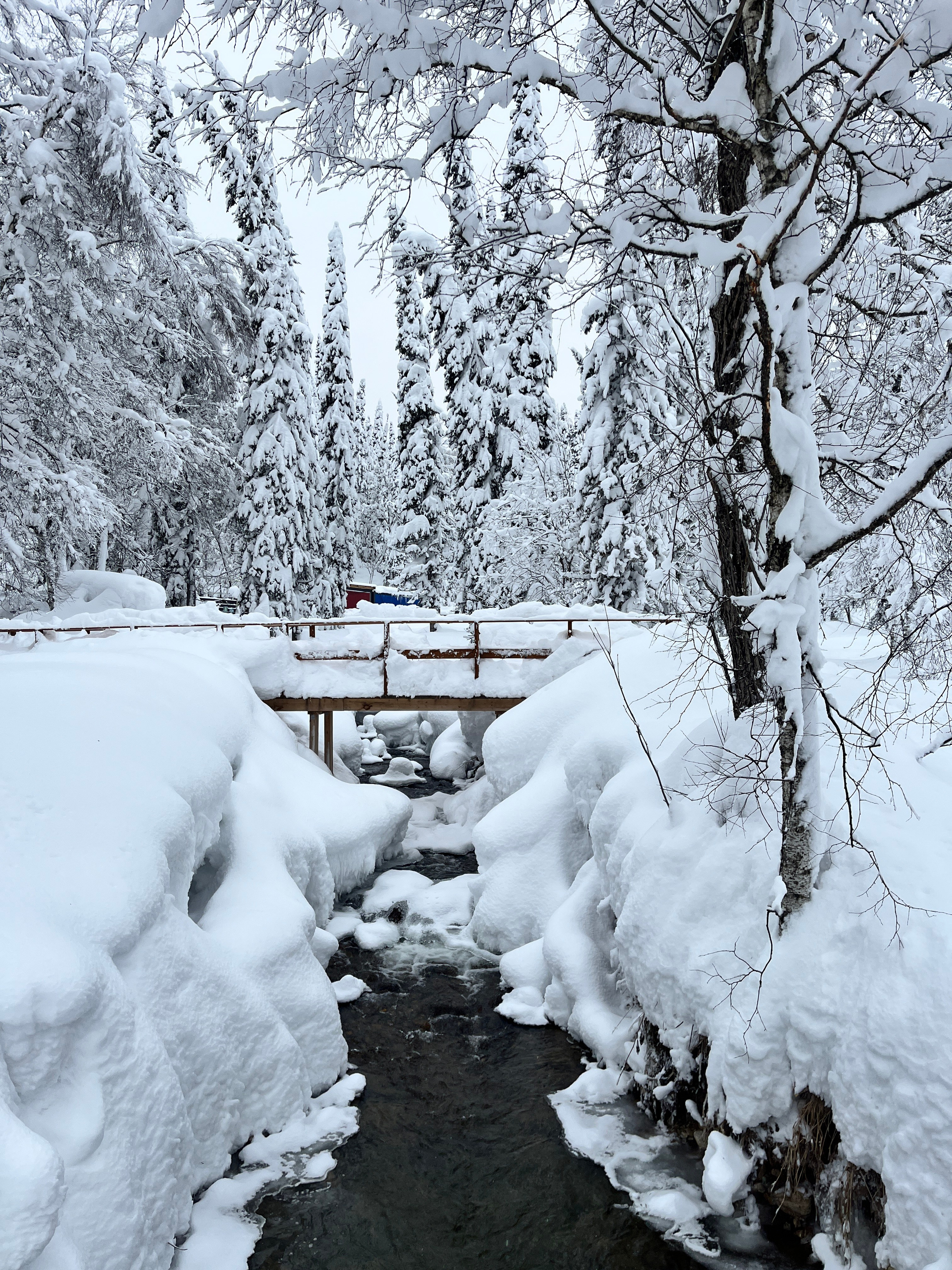 Фото с тура в Шерегеш — Время Приключений