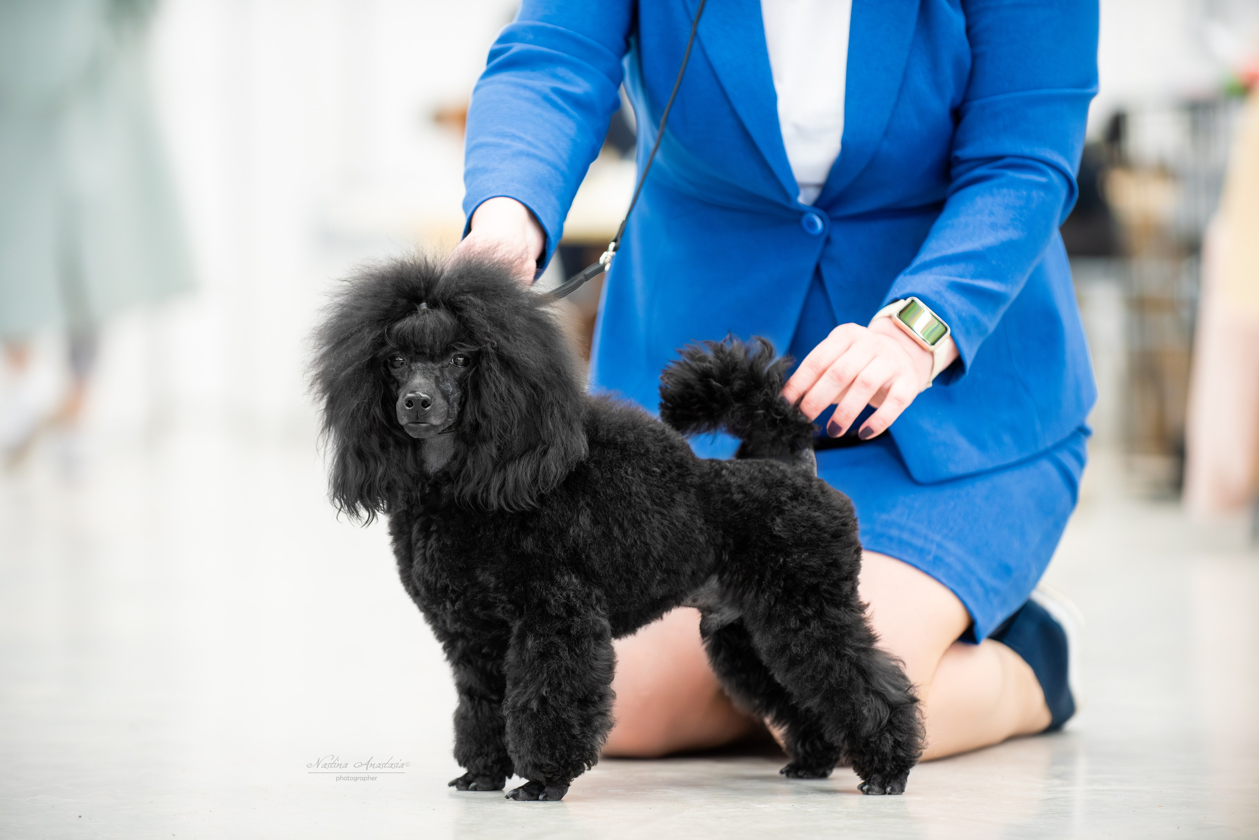 Выставки. Фотограф — Анималист