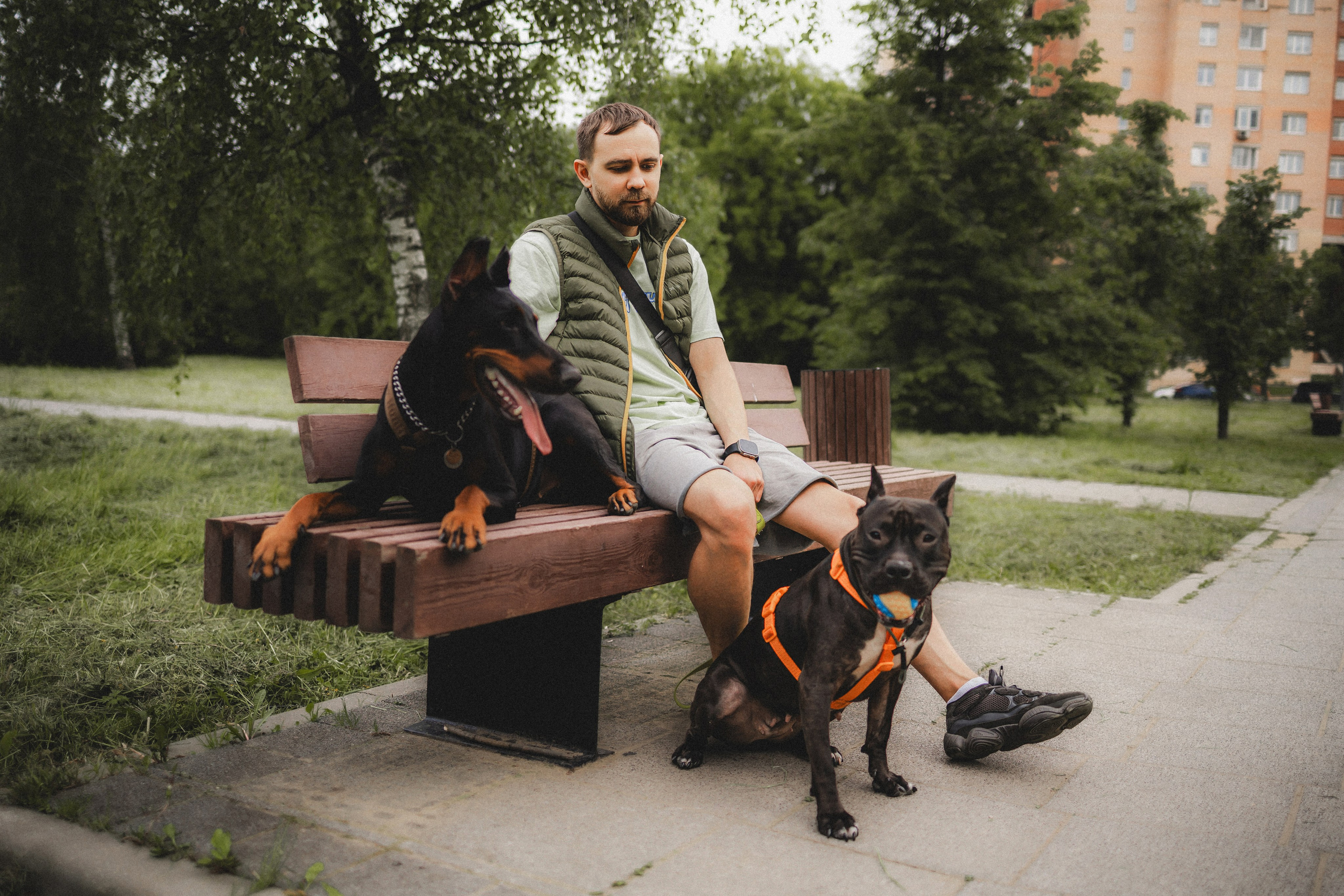 Паша, Хайди и Тея