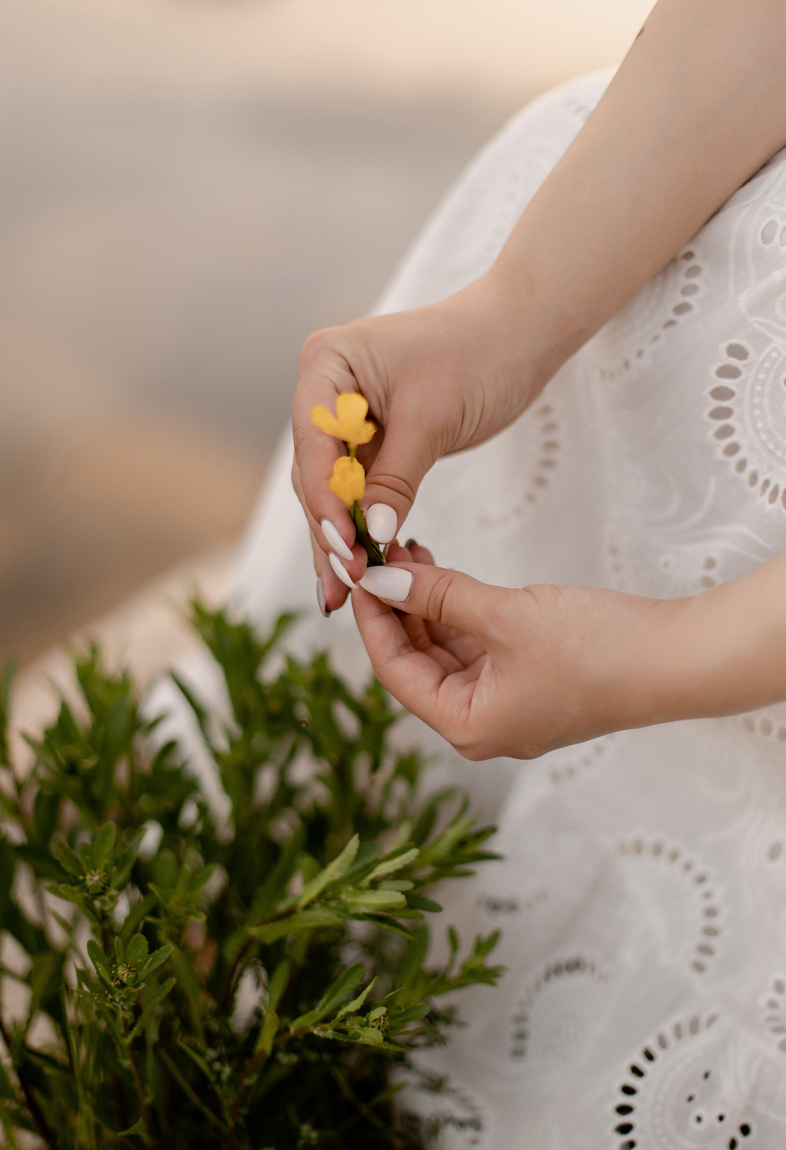 Екатерина. Свадебный и портретный фотограф в Миассе Филиппенко Дарья