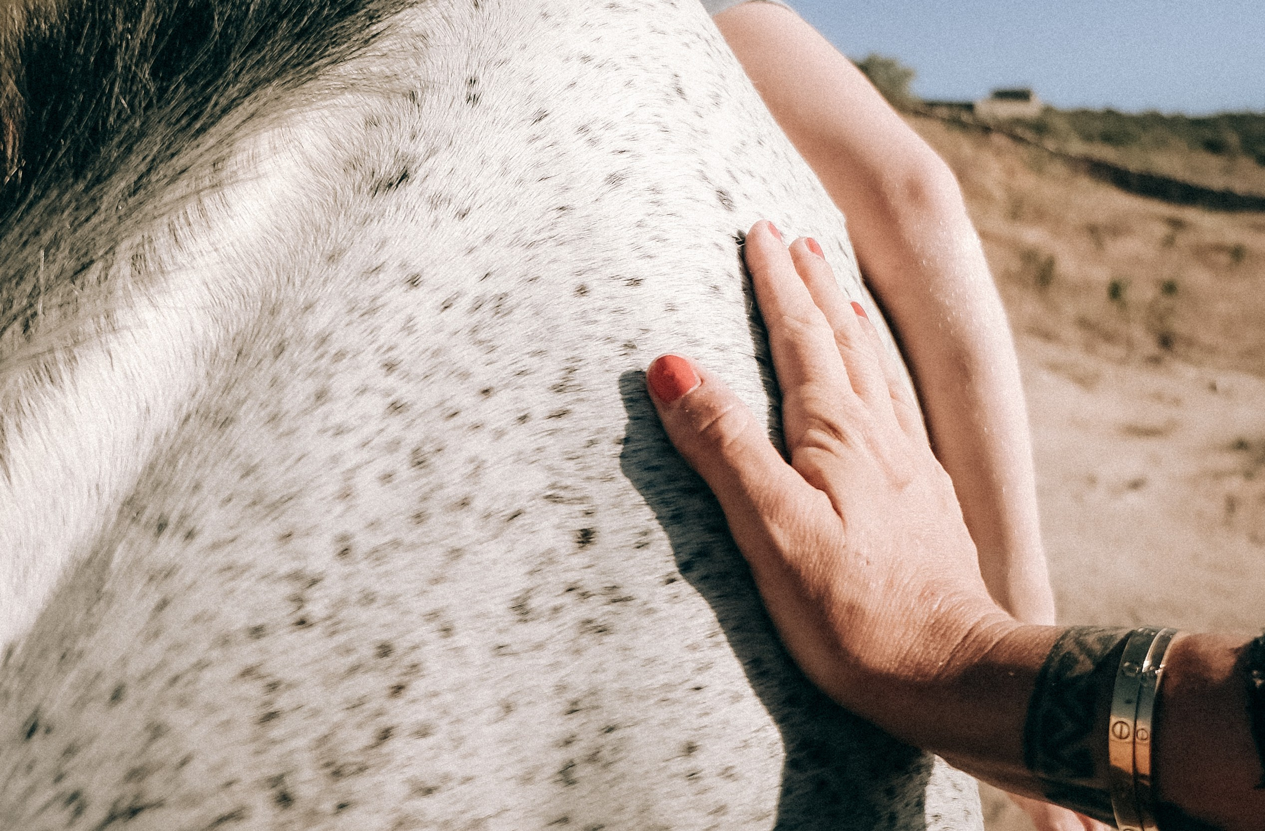 Семейная съемка. Olga Popova — Photographer in Morocco