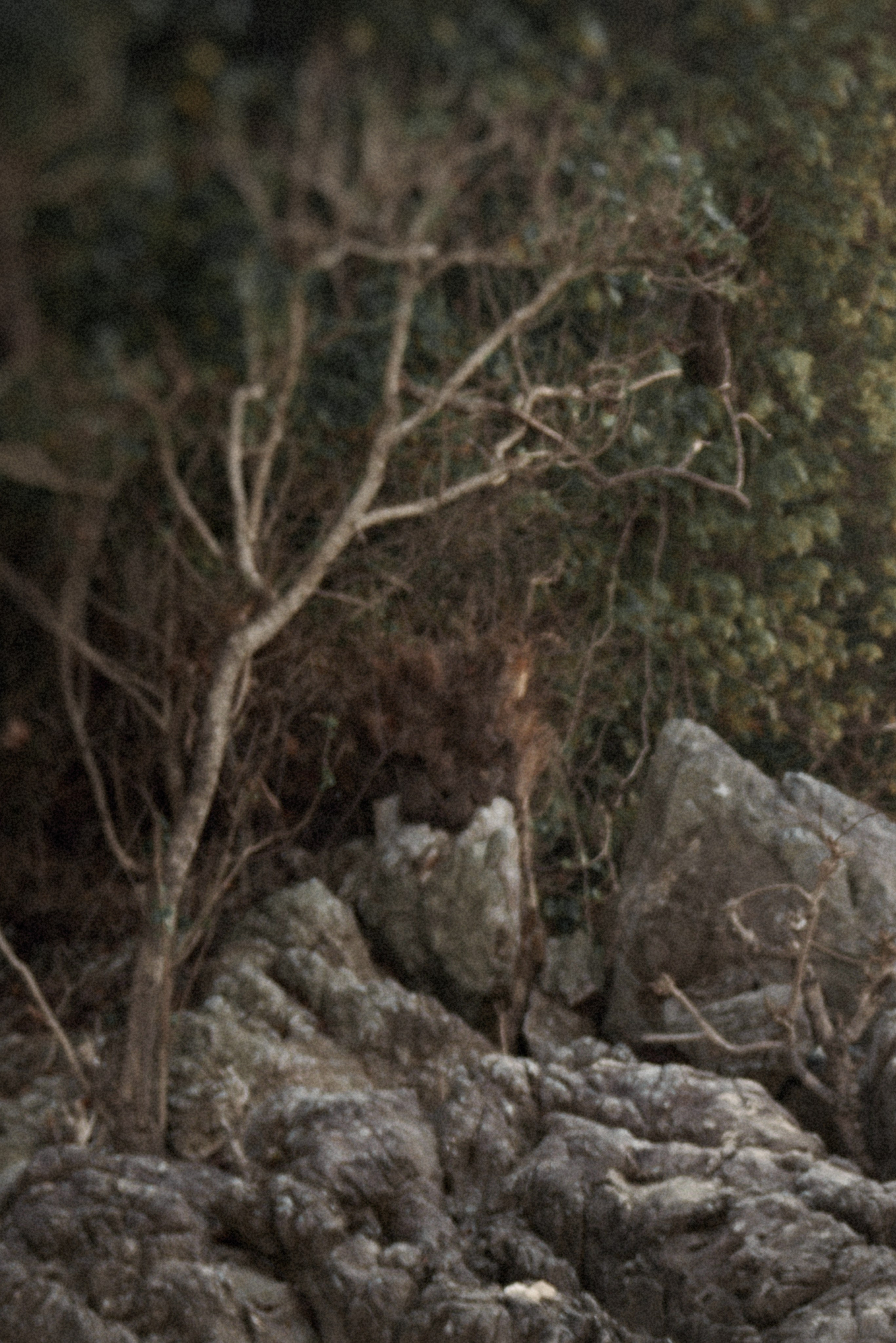 Anastasia. Свадебный фотограф Юлия Гусева