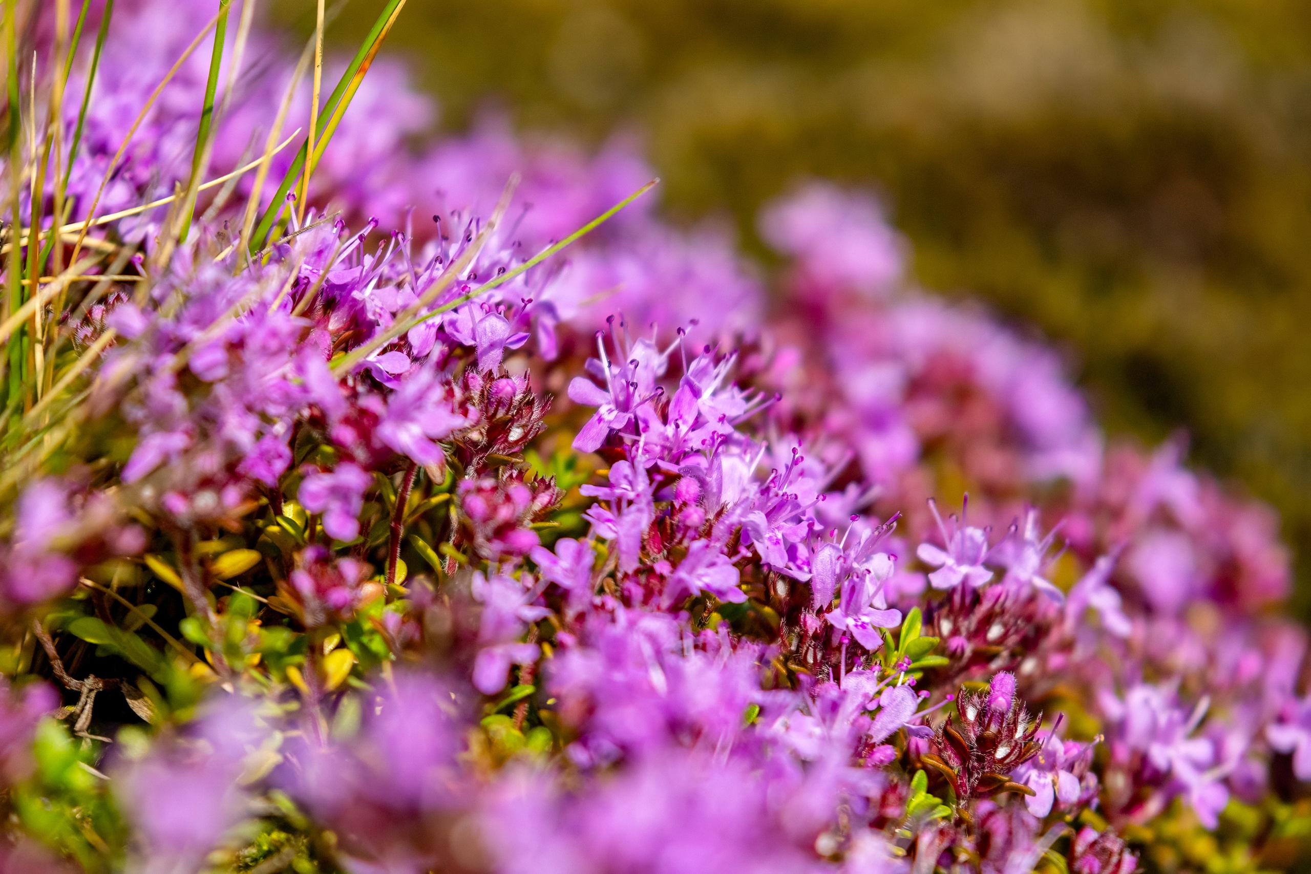 Ладожское озеро. Аэросъемка. Фото и Видео в Карелии. Алексей Фрилунд