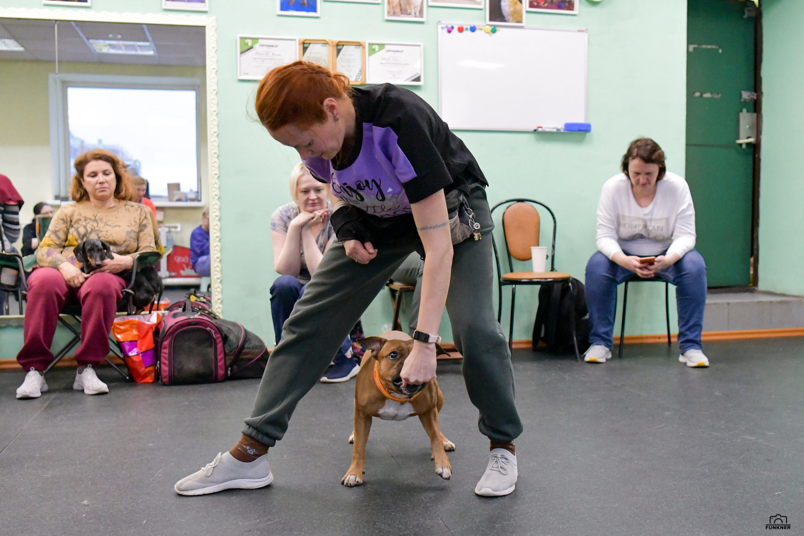 Кинологический клуб «Бодрый хвост». Свой взгляд через объектив