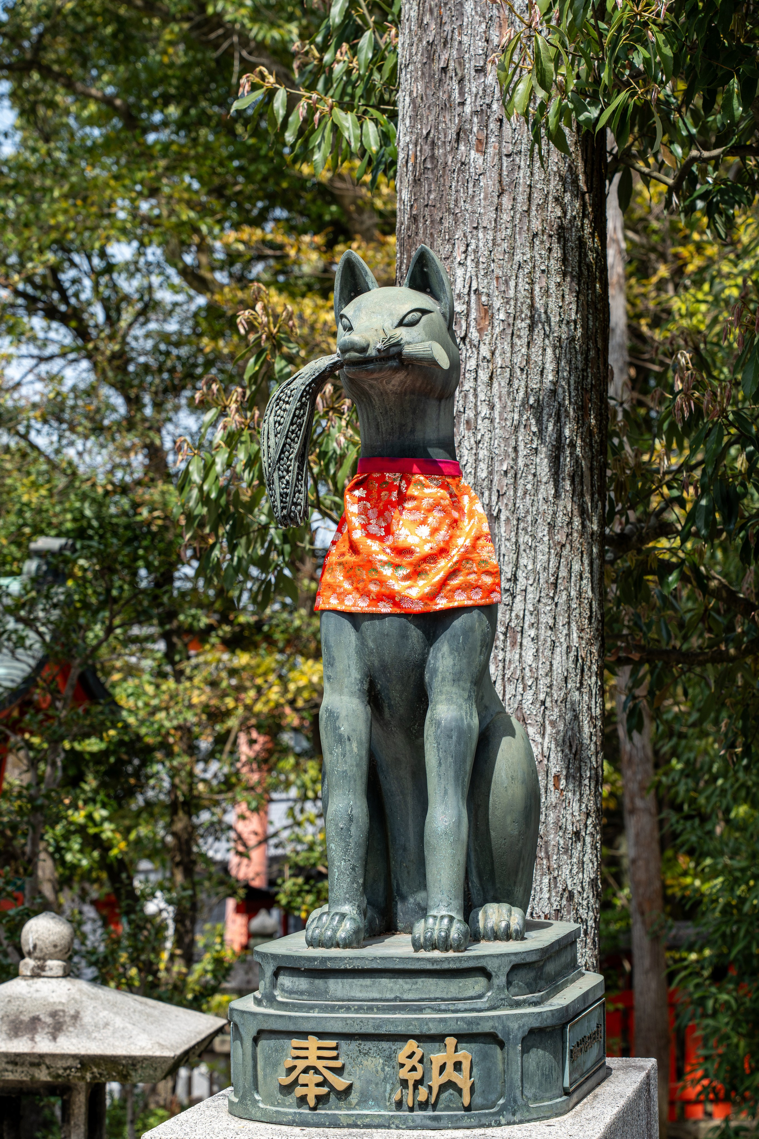 Япония, сакура. Творческие сьемки